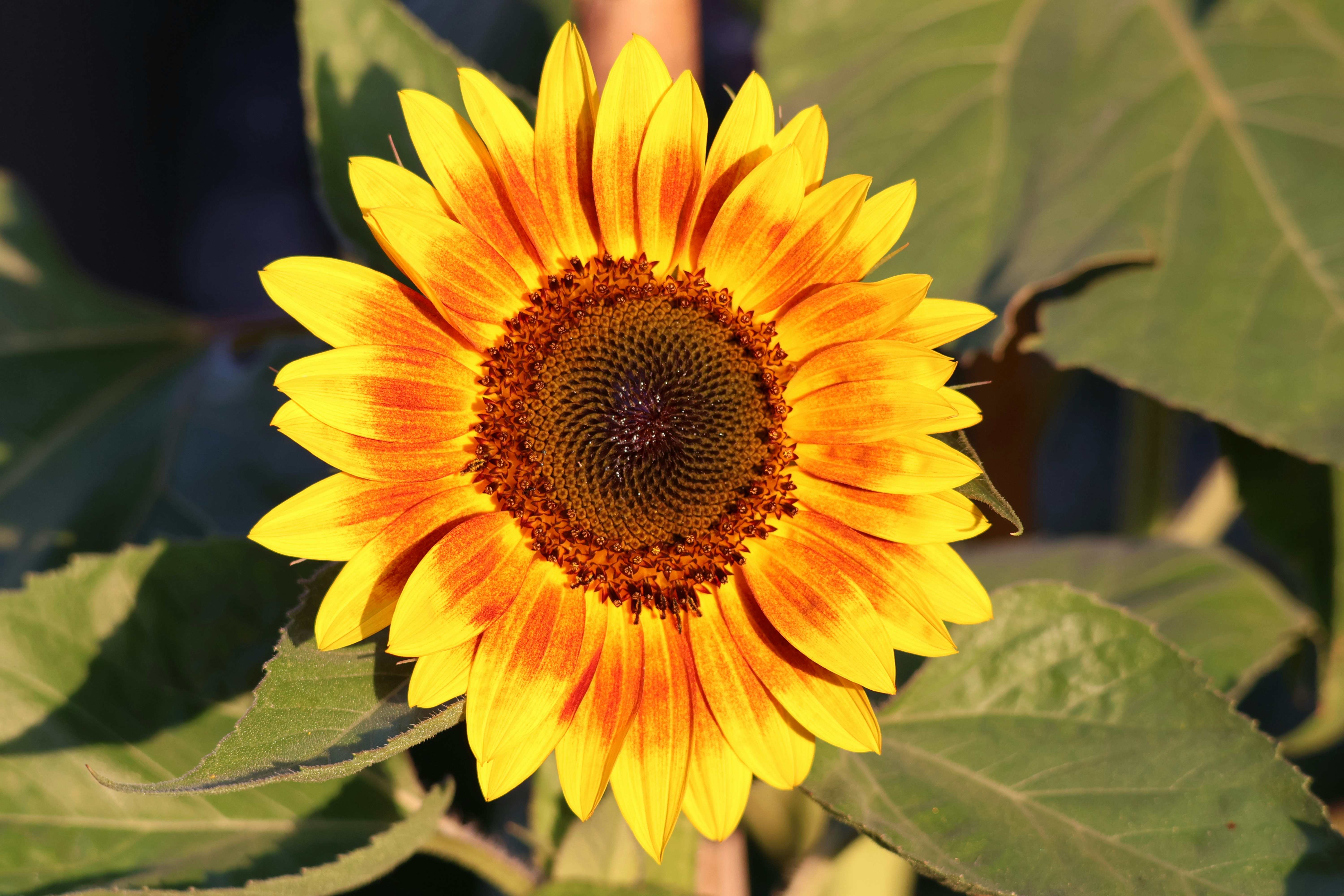 Photo by shooter__andy