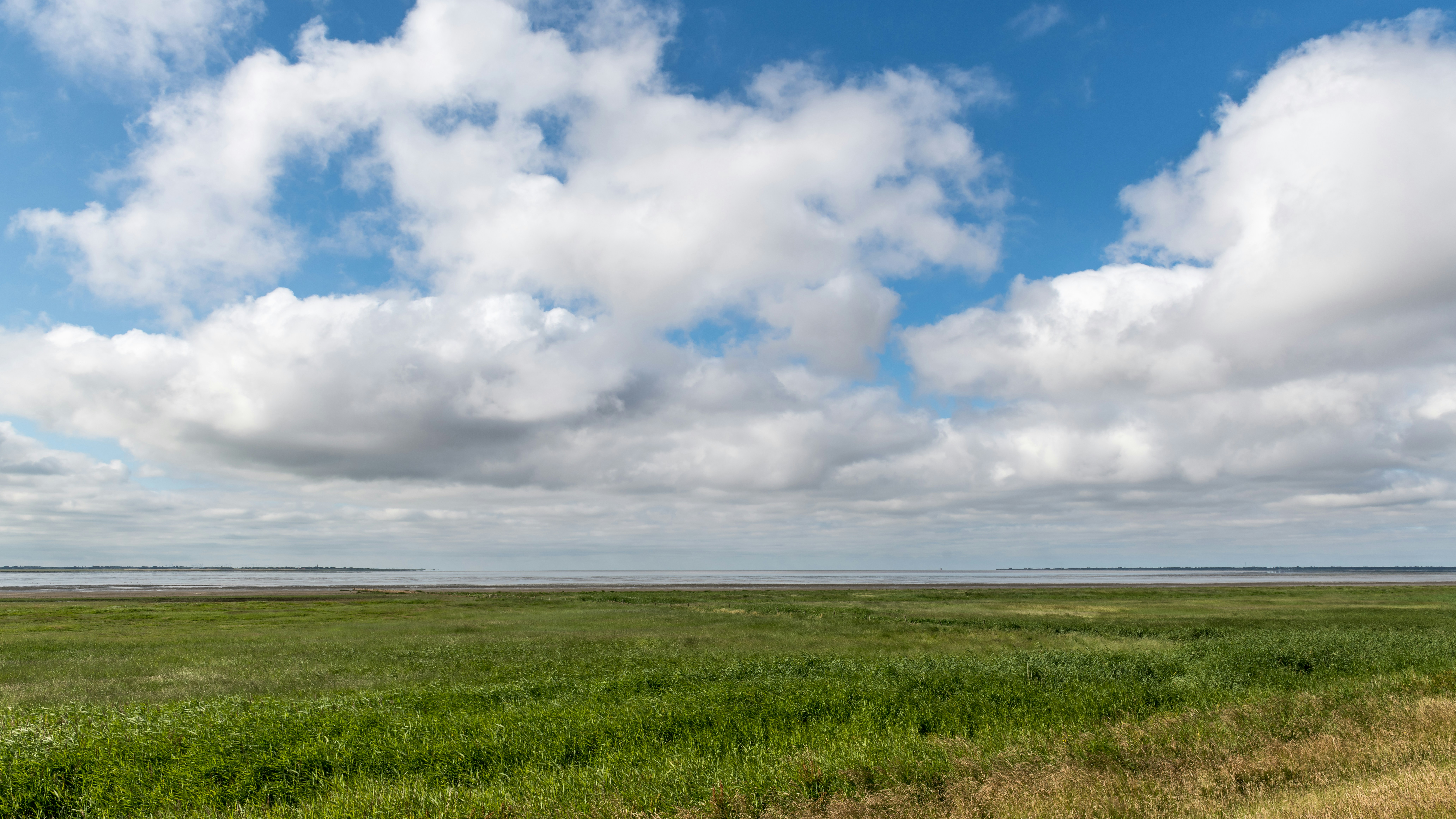 Photo by hamburgmeinefreundin