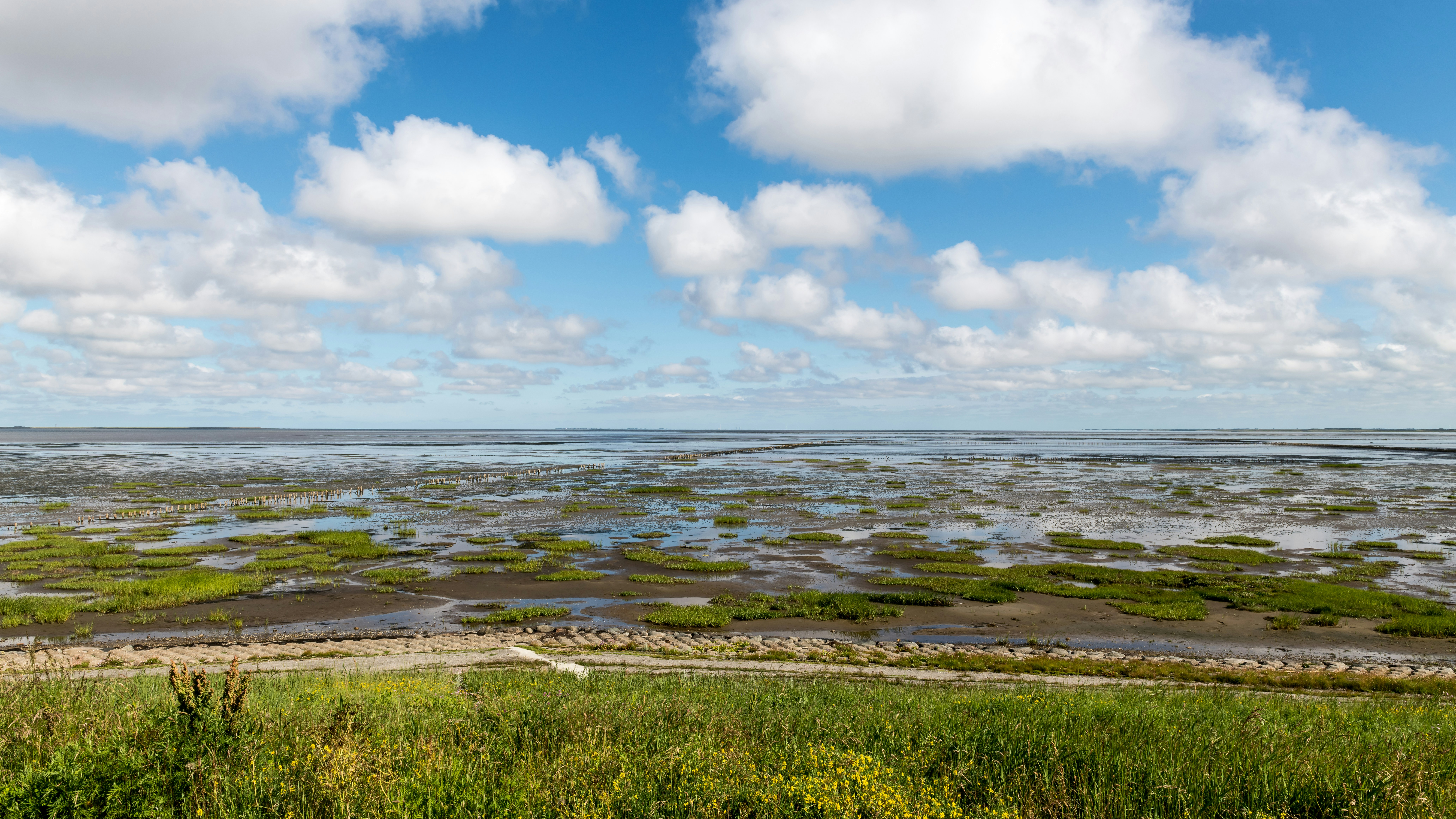 Photo by hamburgmeinefreundin