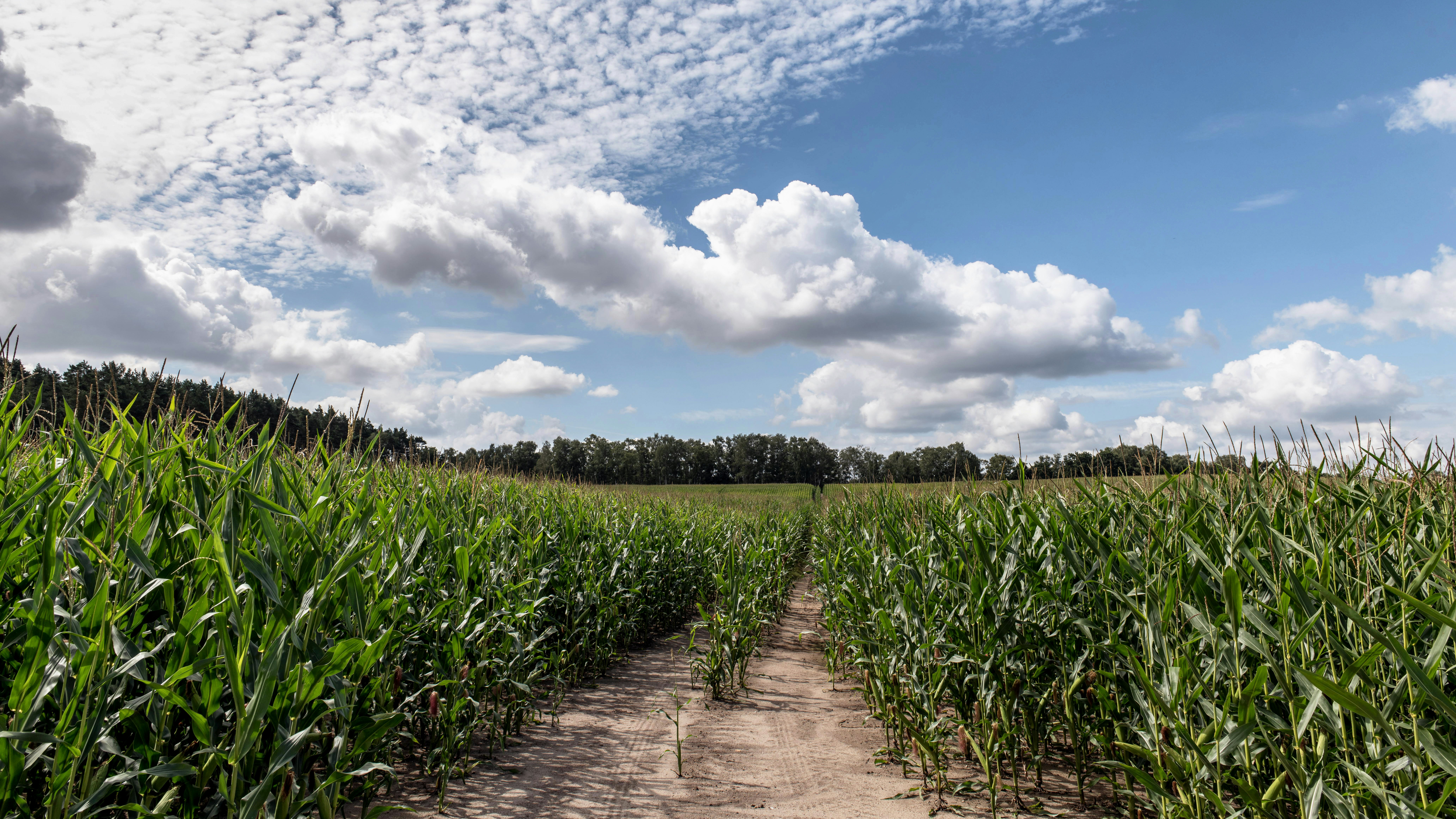 Photo by hamburgmeinefreundin