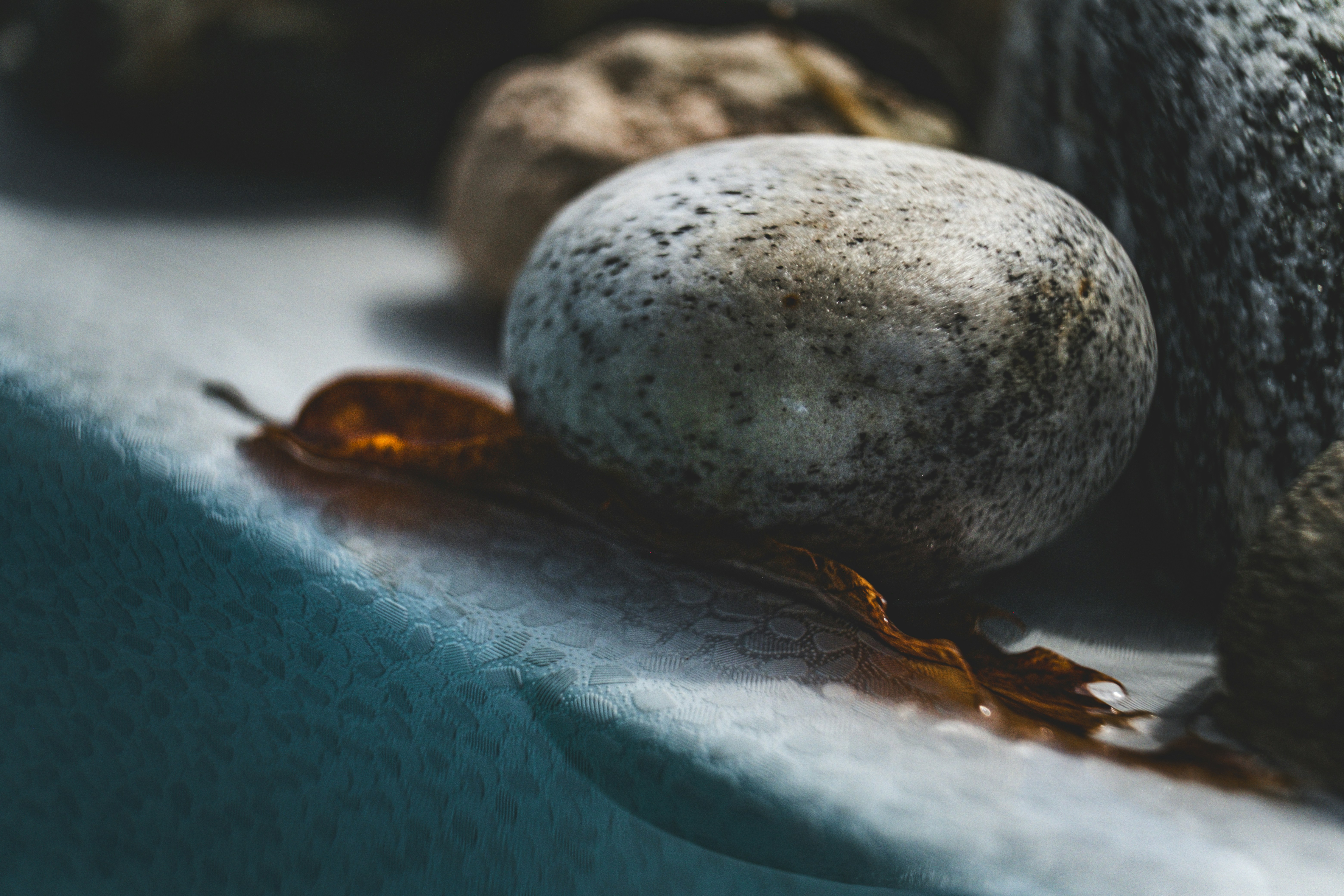 Photo by francesco_ungaro