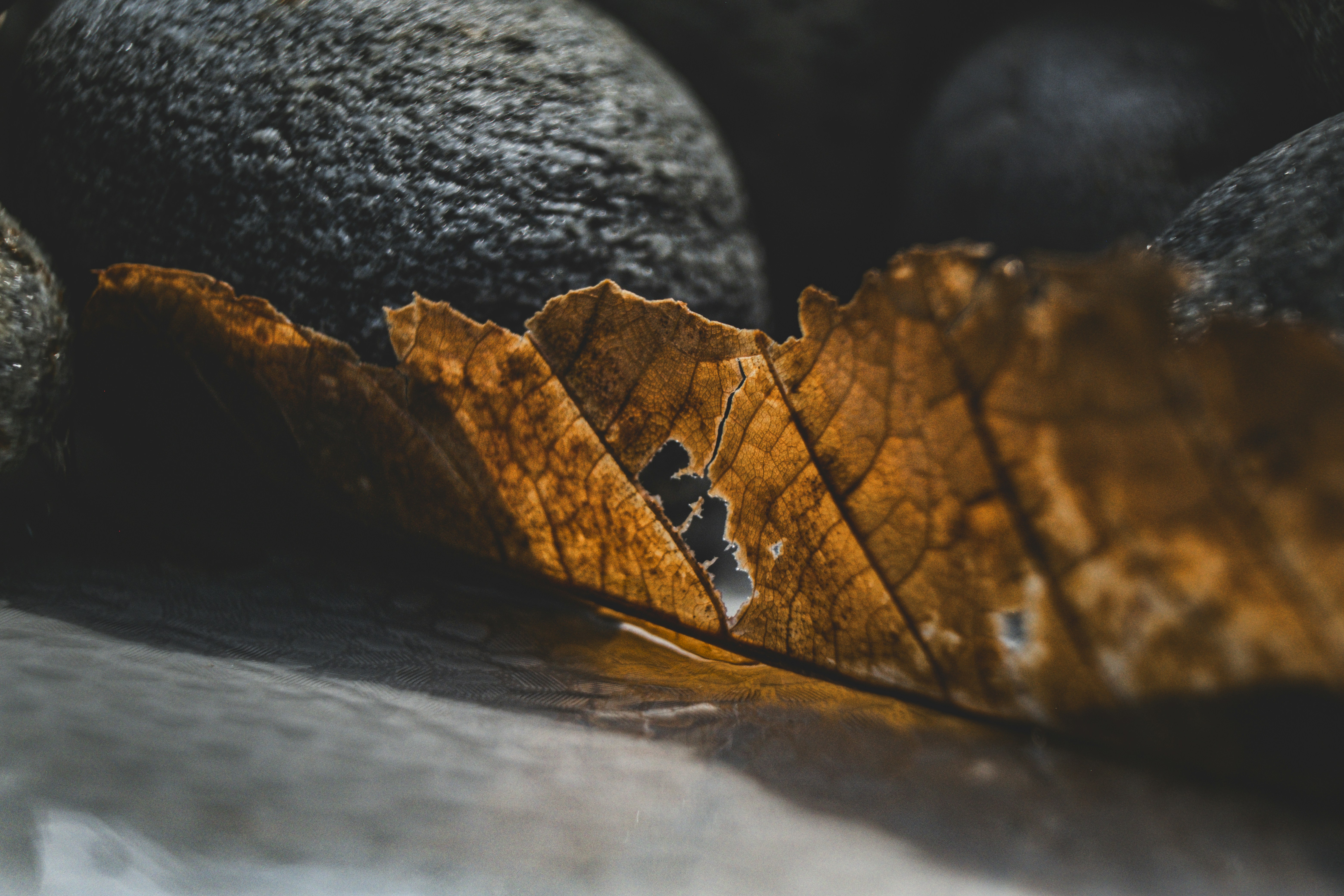 Photo by francesco_ungaro