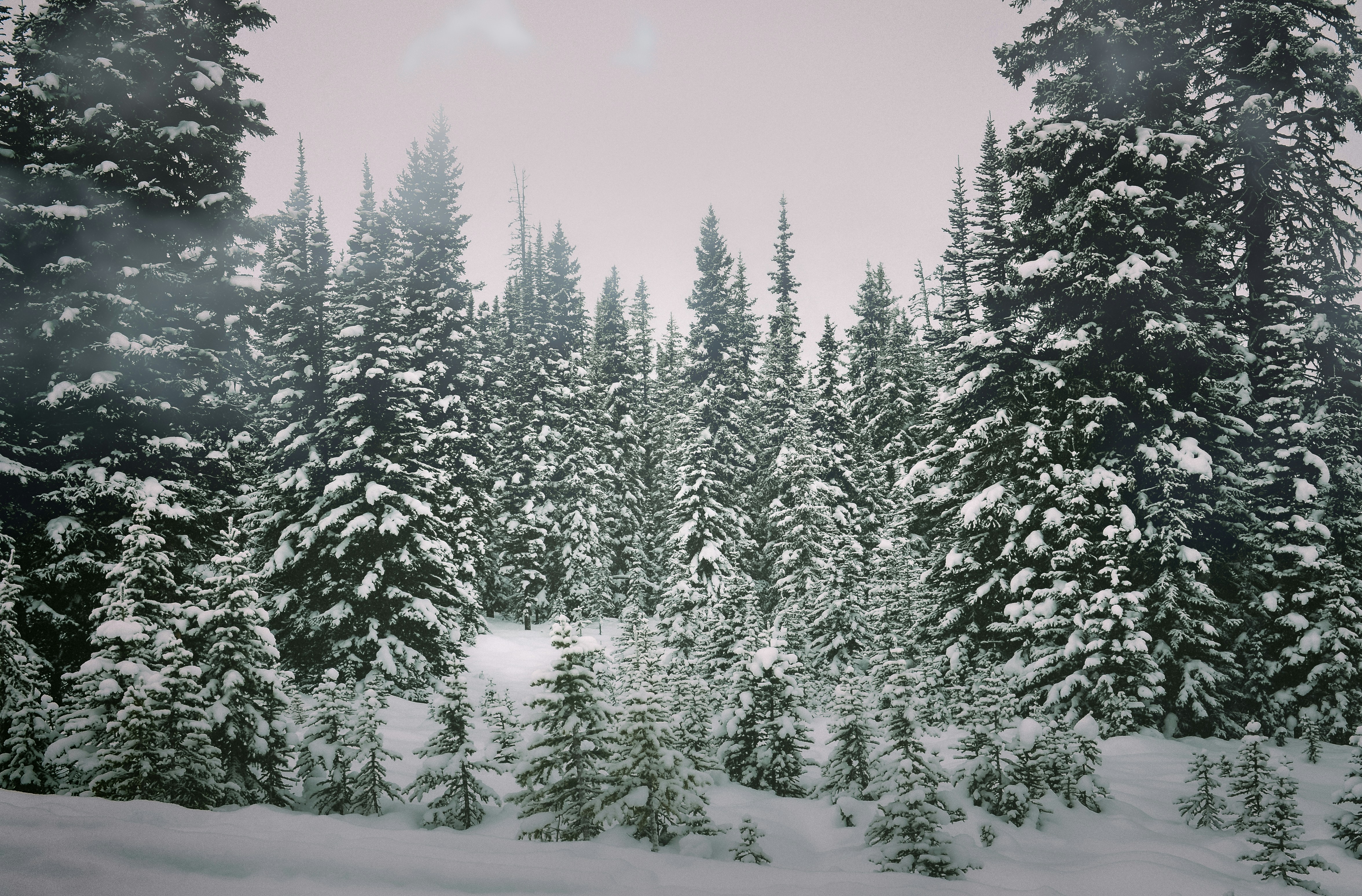 Photo by nicgeorgiou