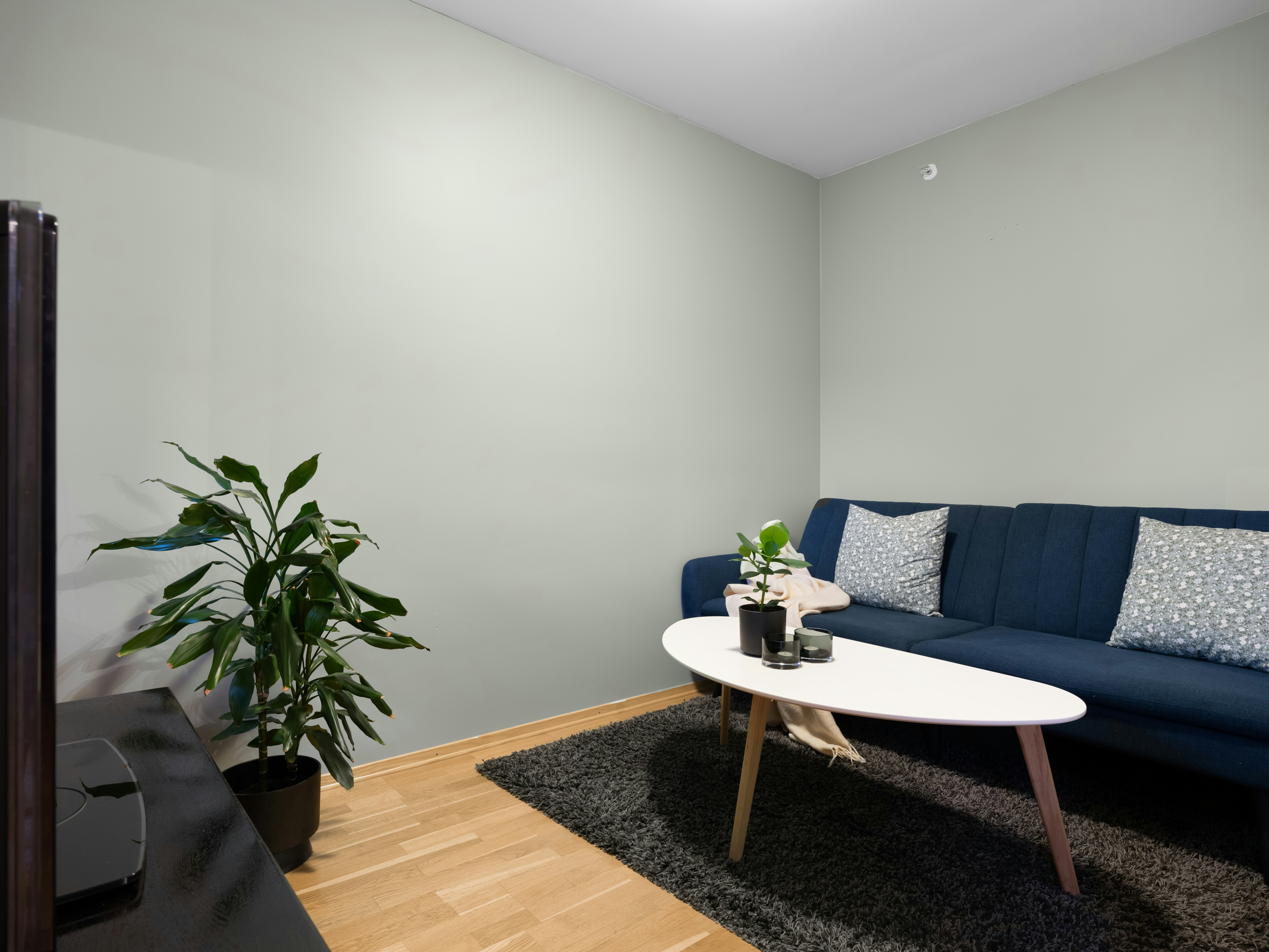 Photo by alextyson195