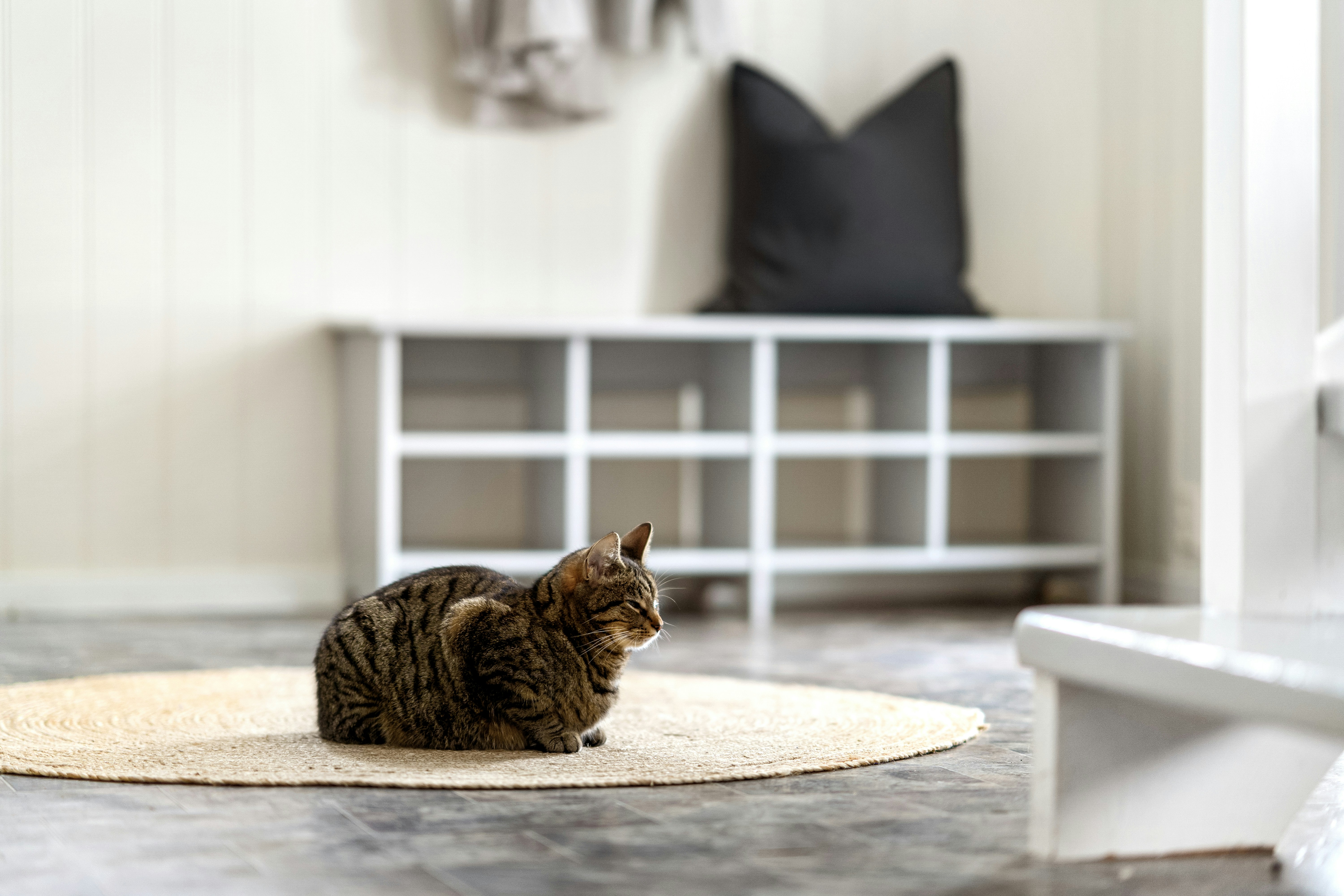 Photo by alextyson195