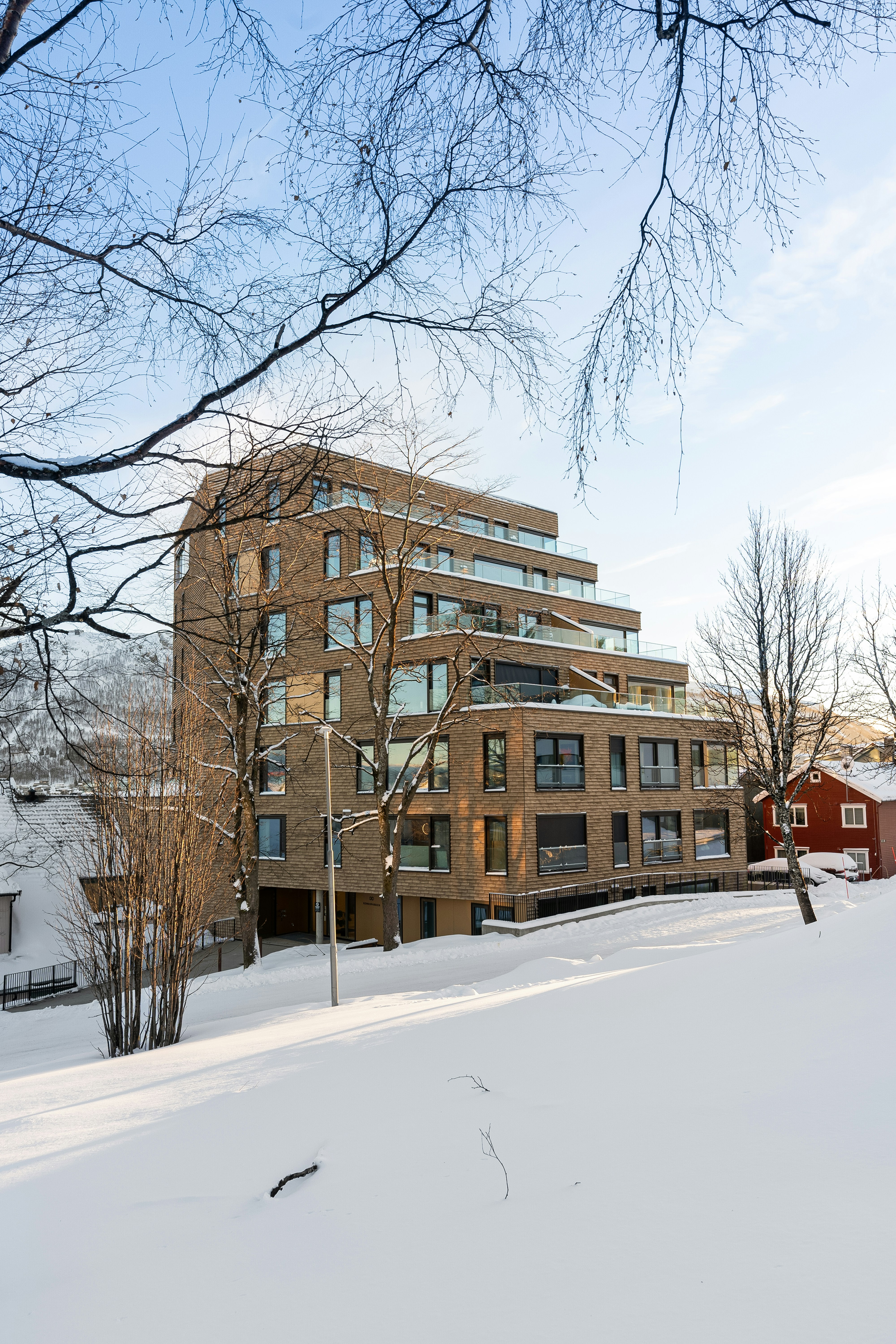 Stark white Nordic residence with floor-to-ceiling glass, birch forest backdrop, bright overcast sky