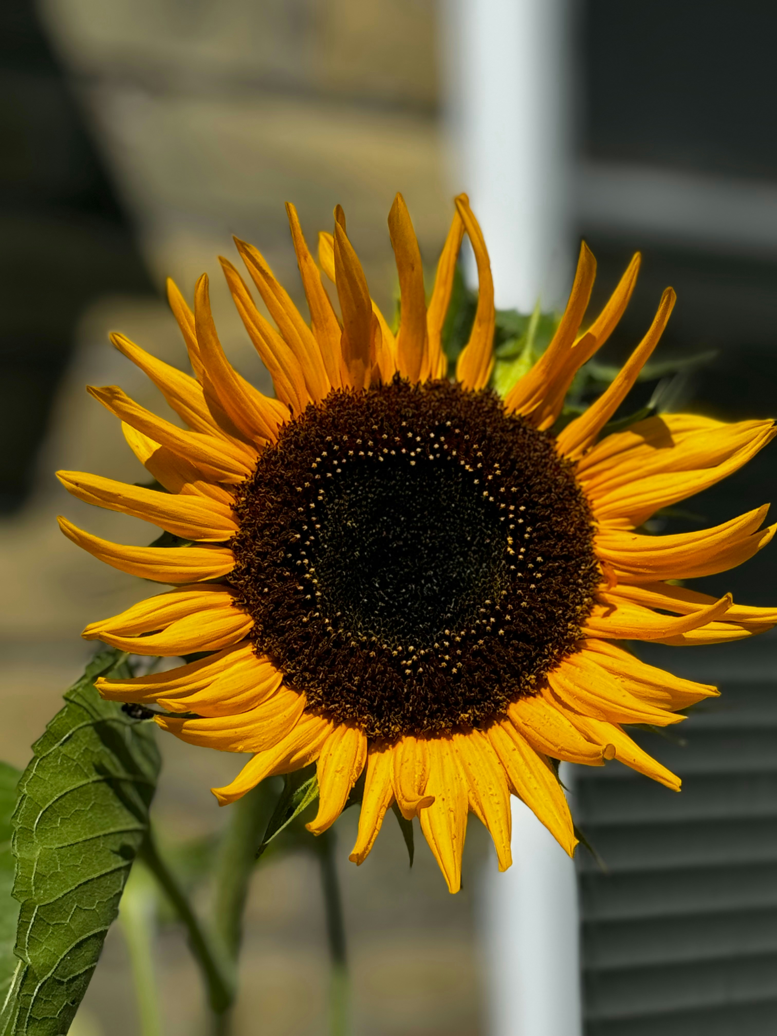 Photo by timecaptor25