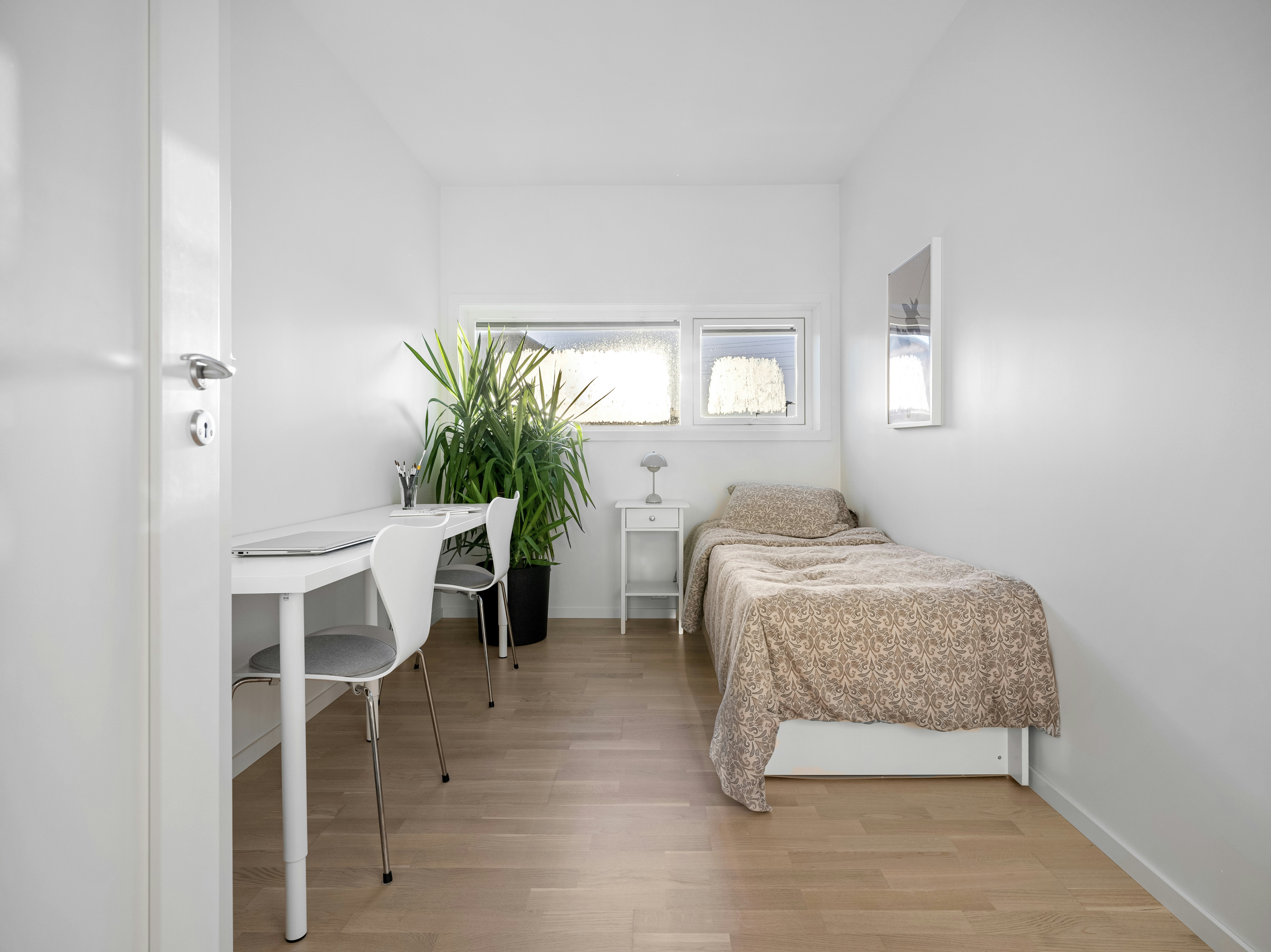 Photo by alextyson195