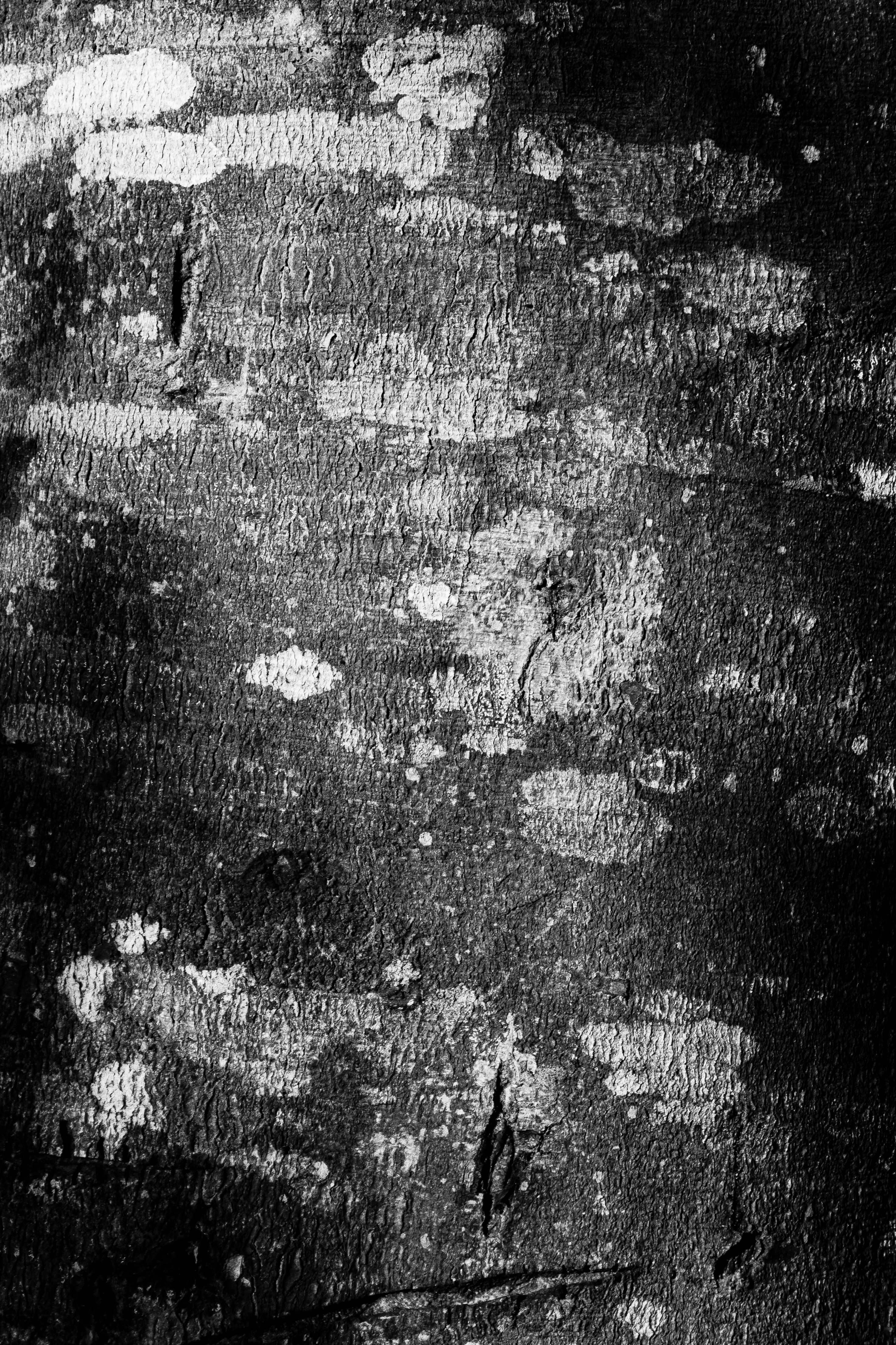 Photo by aletraekaye