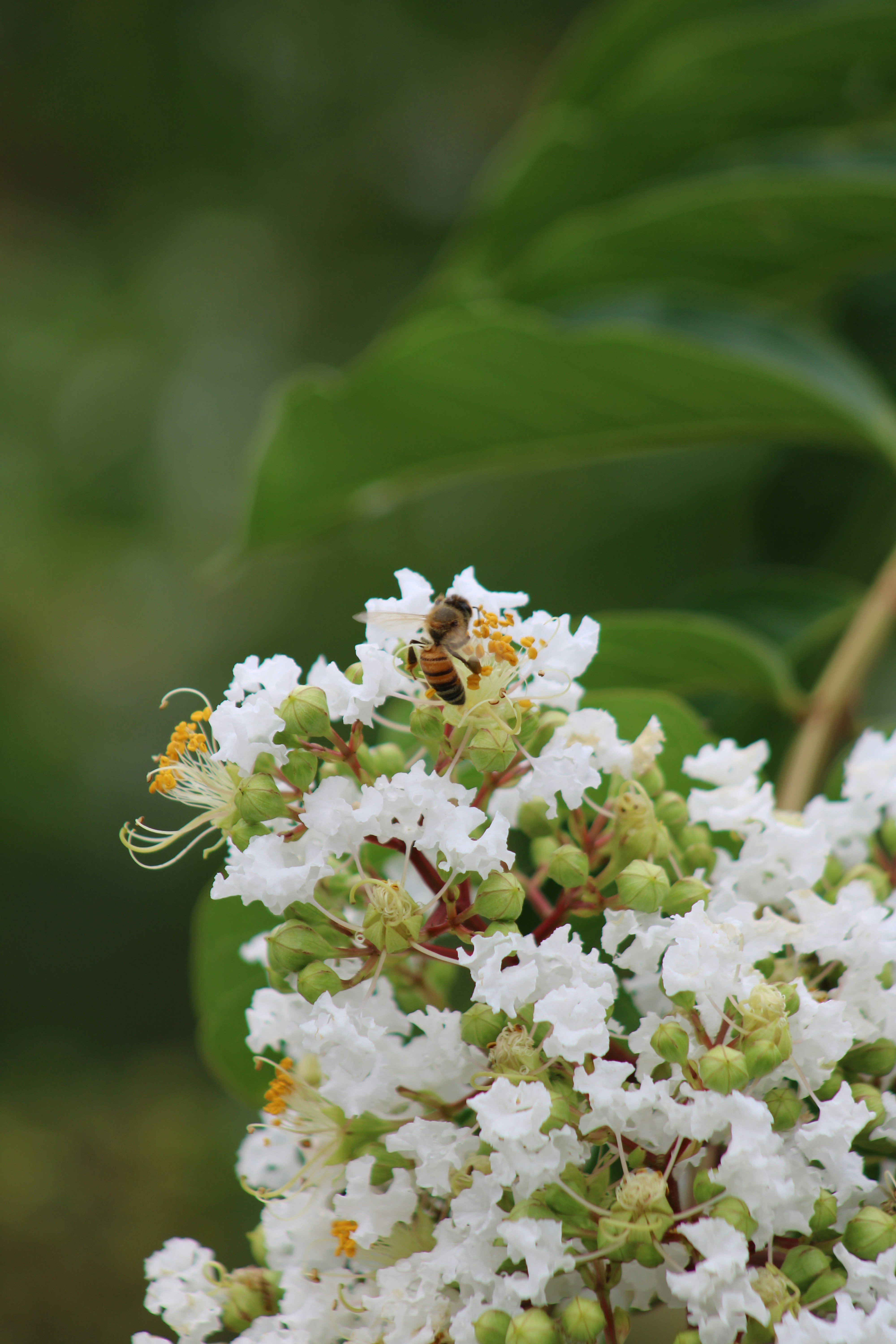 Photo by loaizaperez