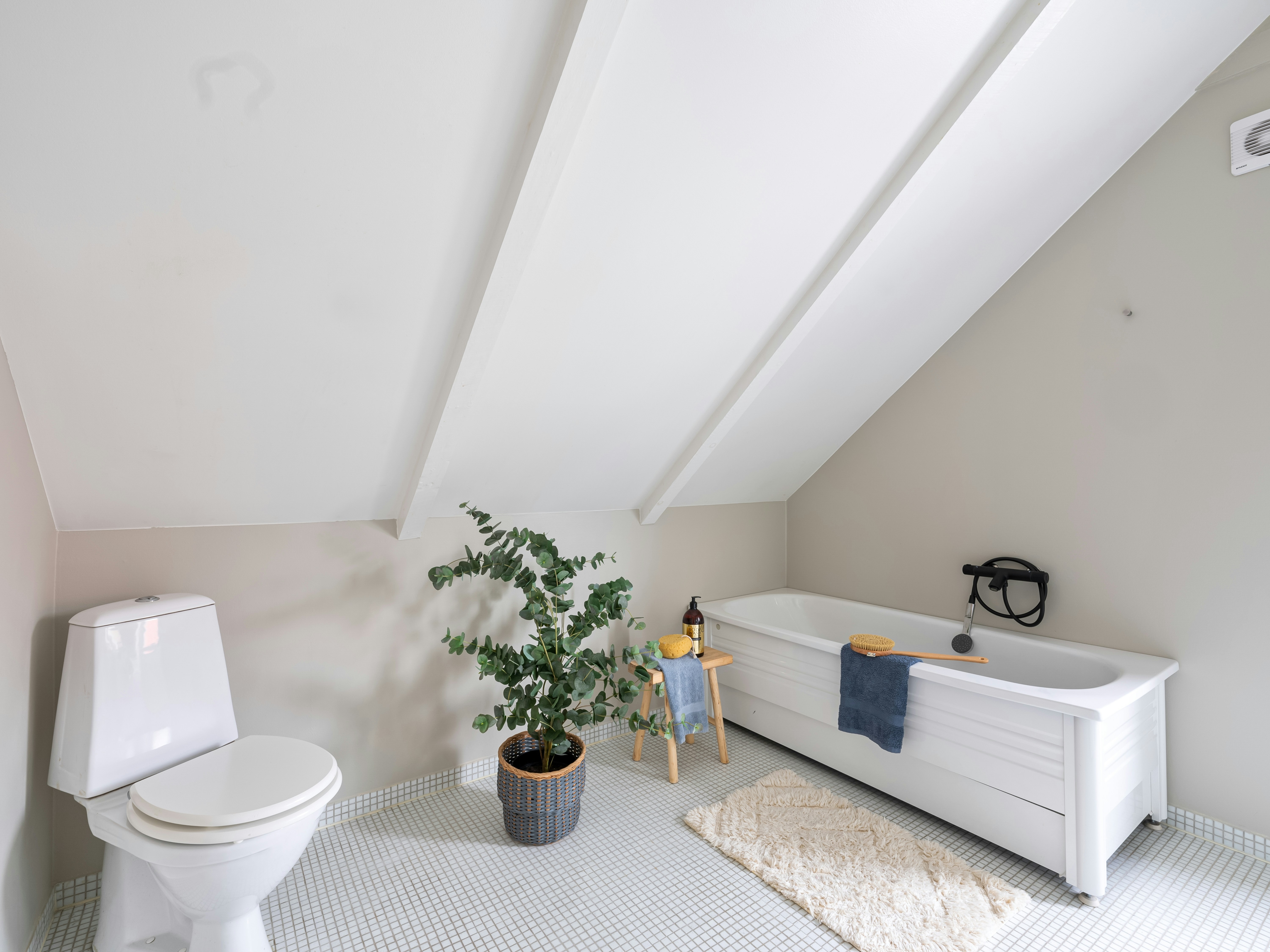 Photo by alextyson195