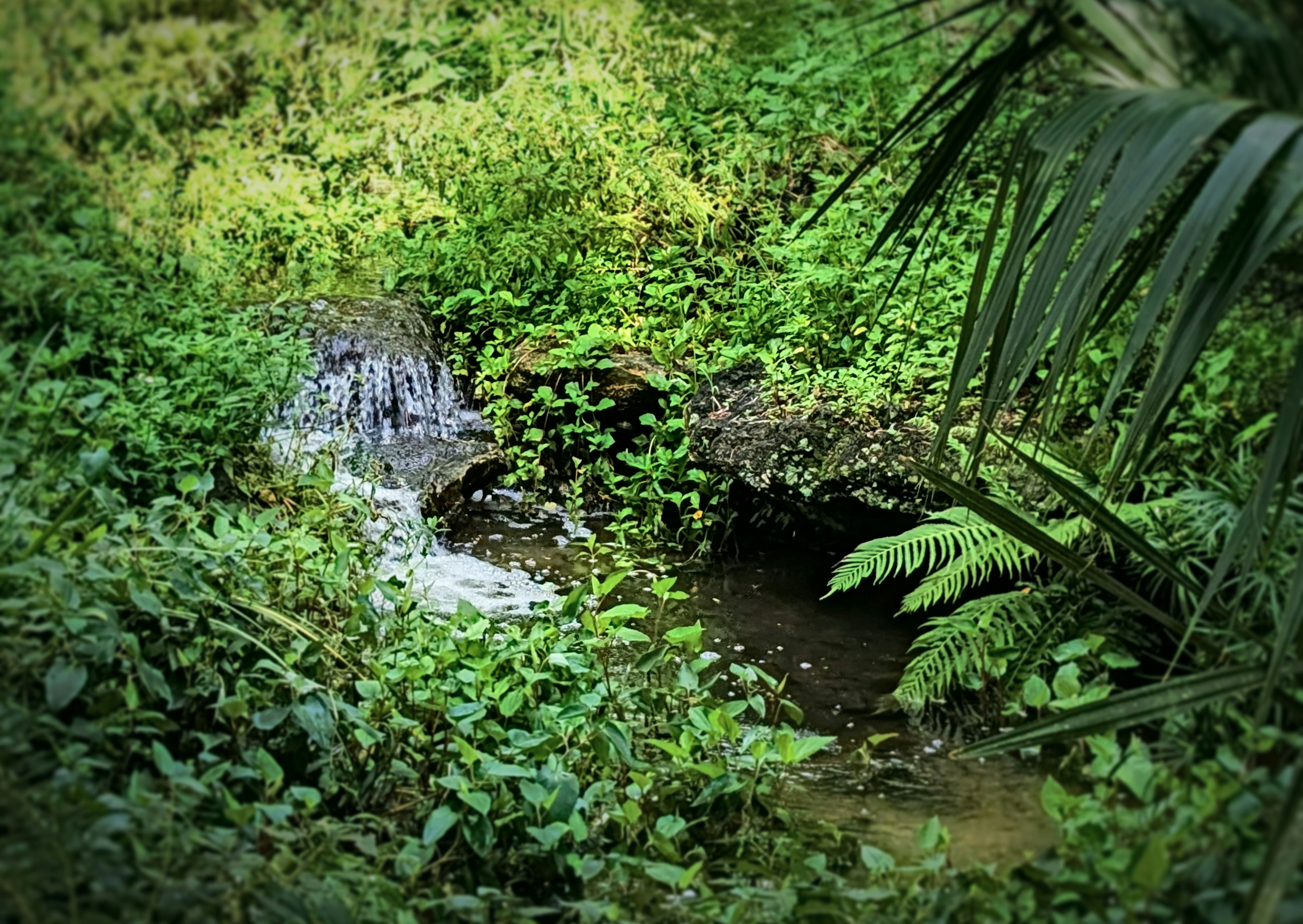 Photo by freethinker