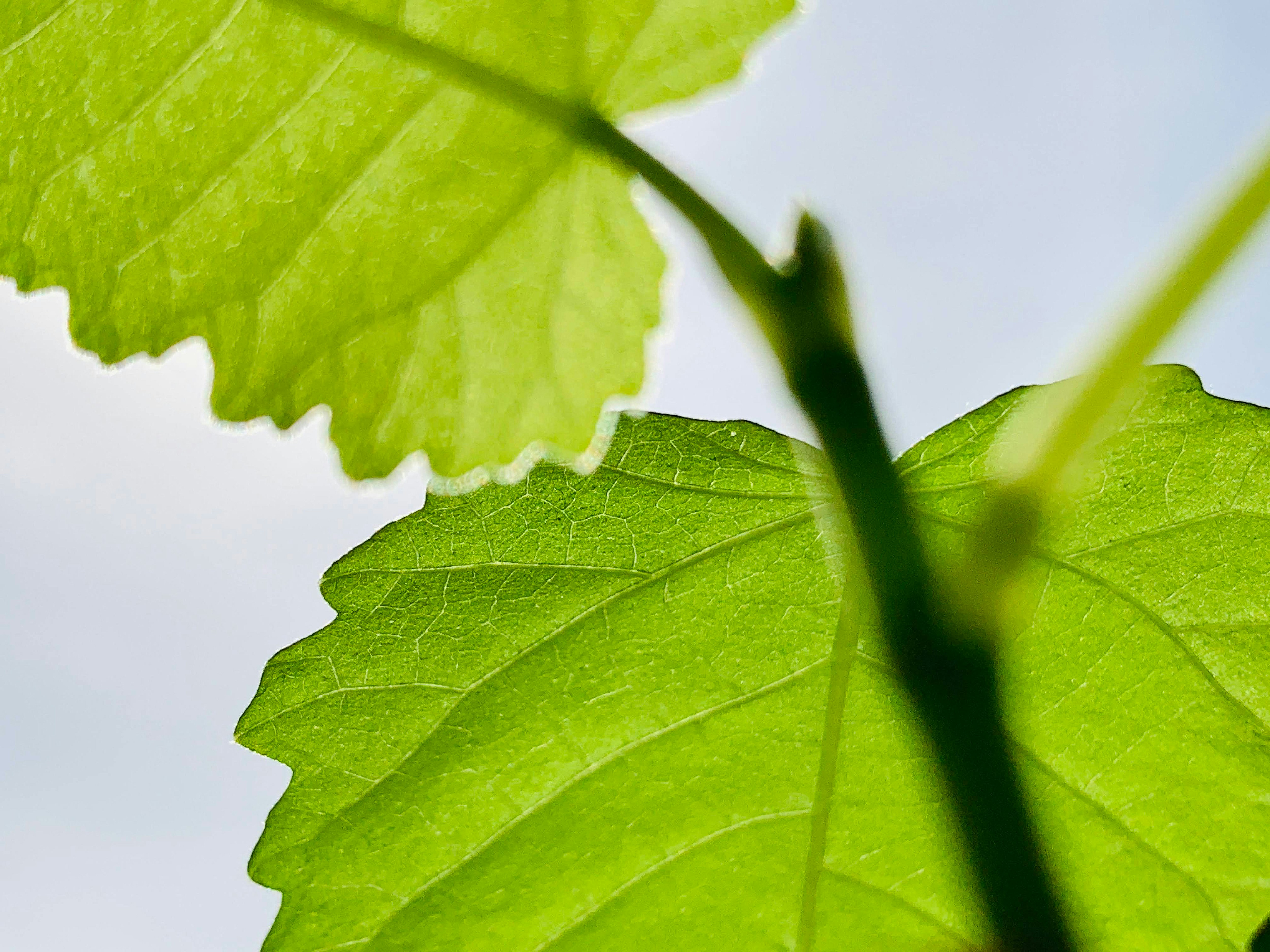 Photo by ionemchinov