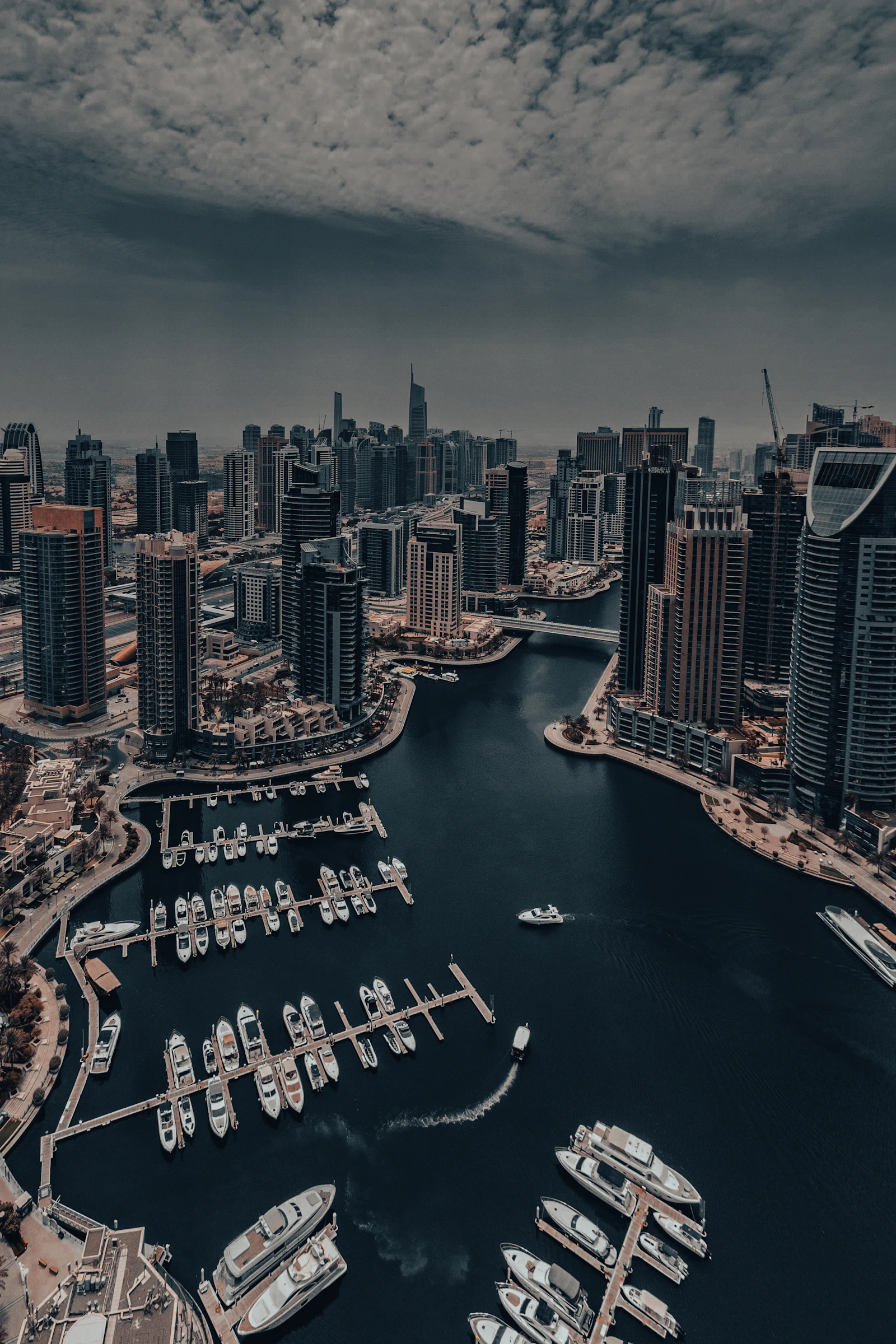Dubai SEO services represented by connected Dubai Marina search channels