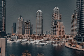 A picture of a city with a lot of tall buildings