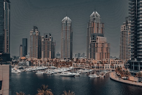 A picture of a city with a lot of tall buildings