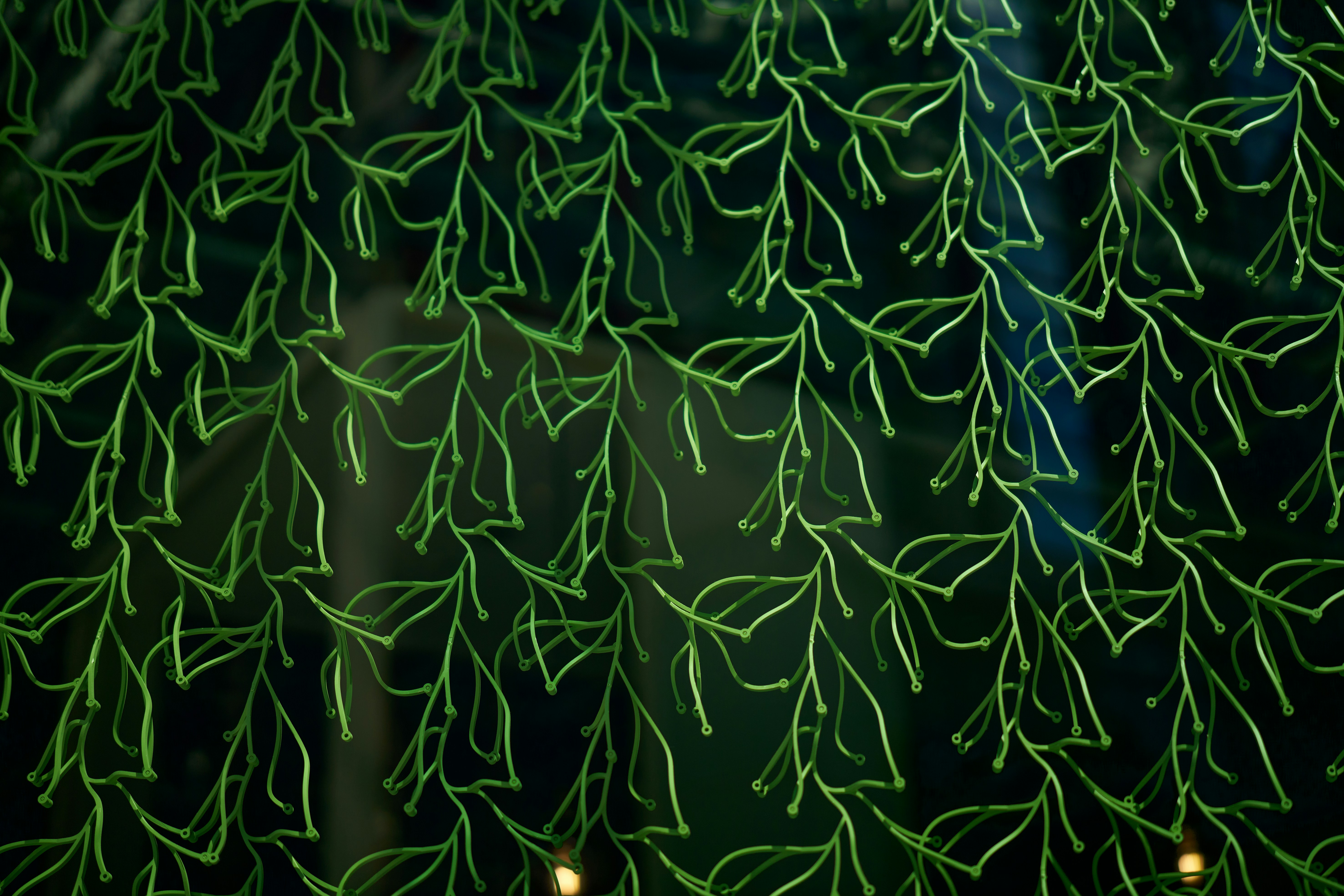 A close up of a tree with green leaves