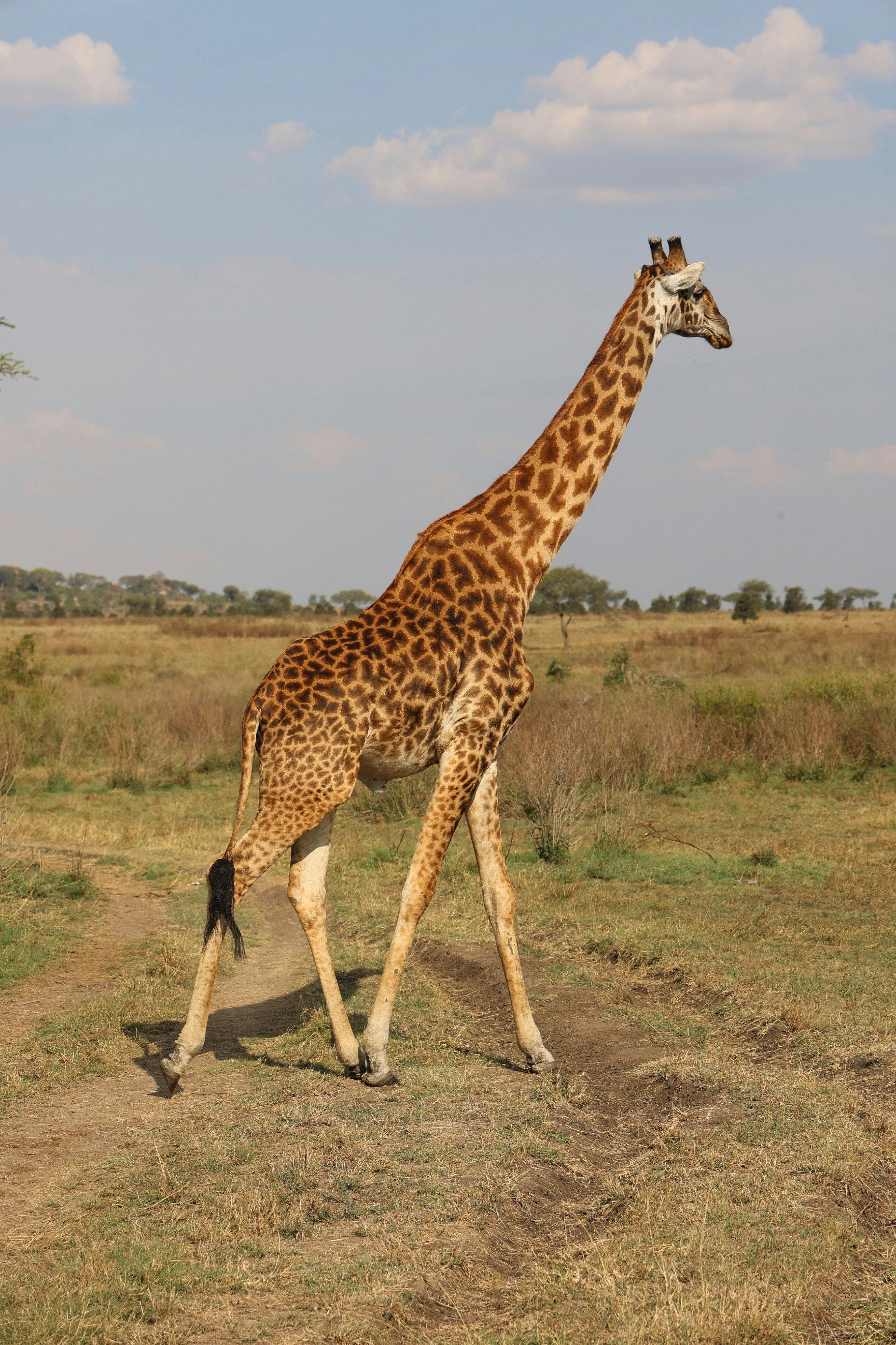 Photo by uzuri_safaris_tanzania