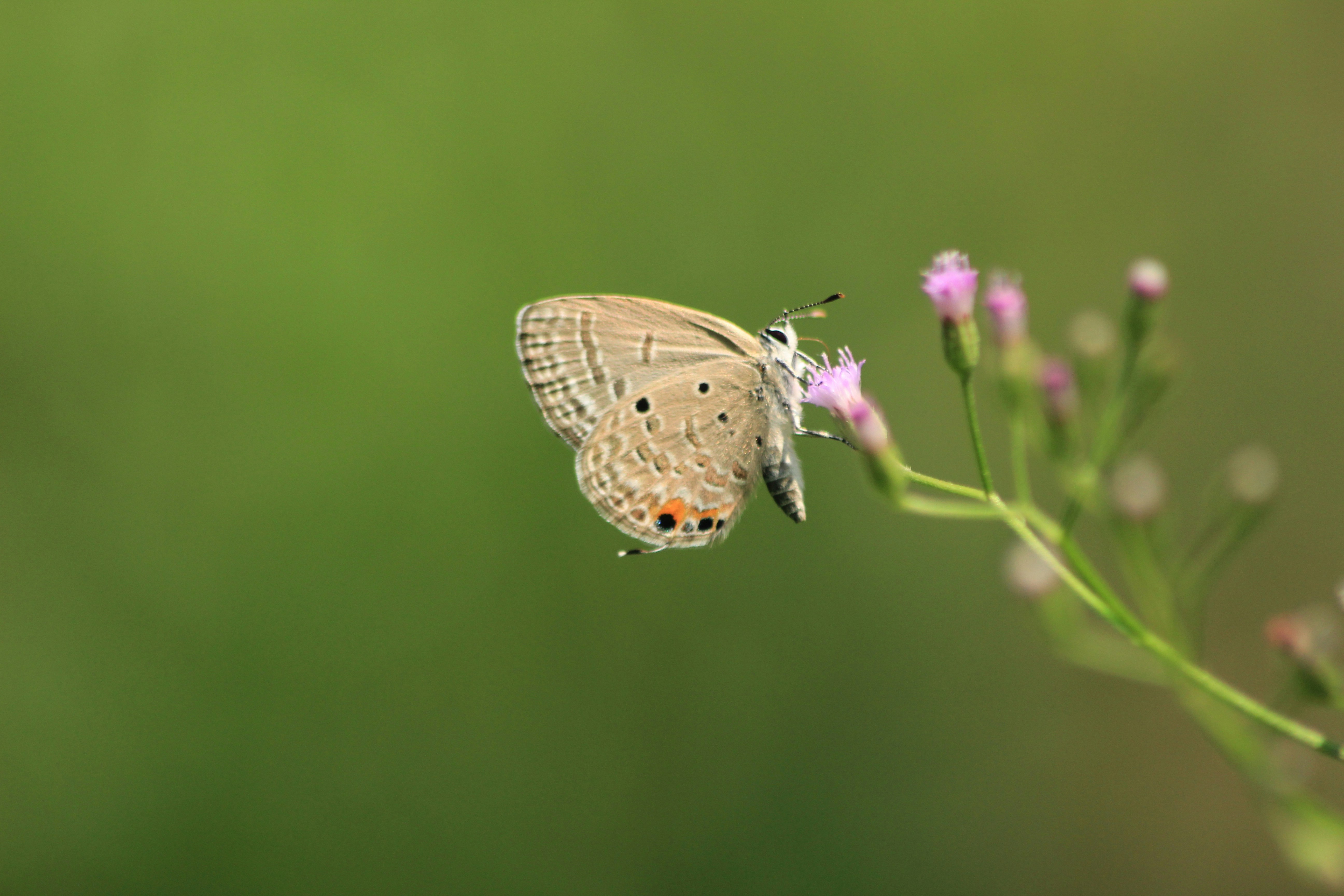 Photo by thisisgeipenko