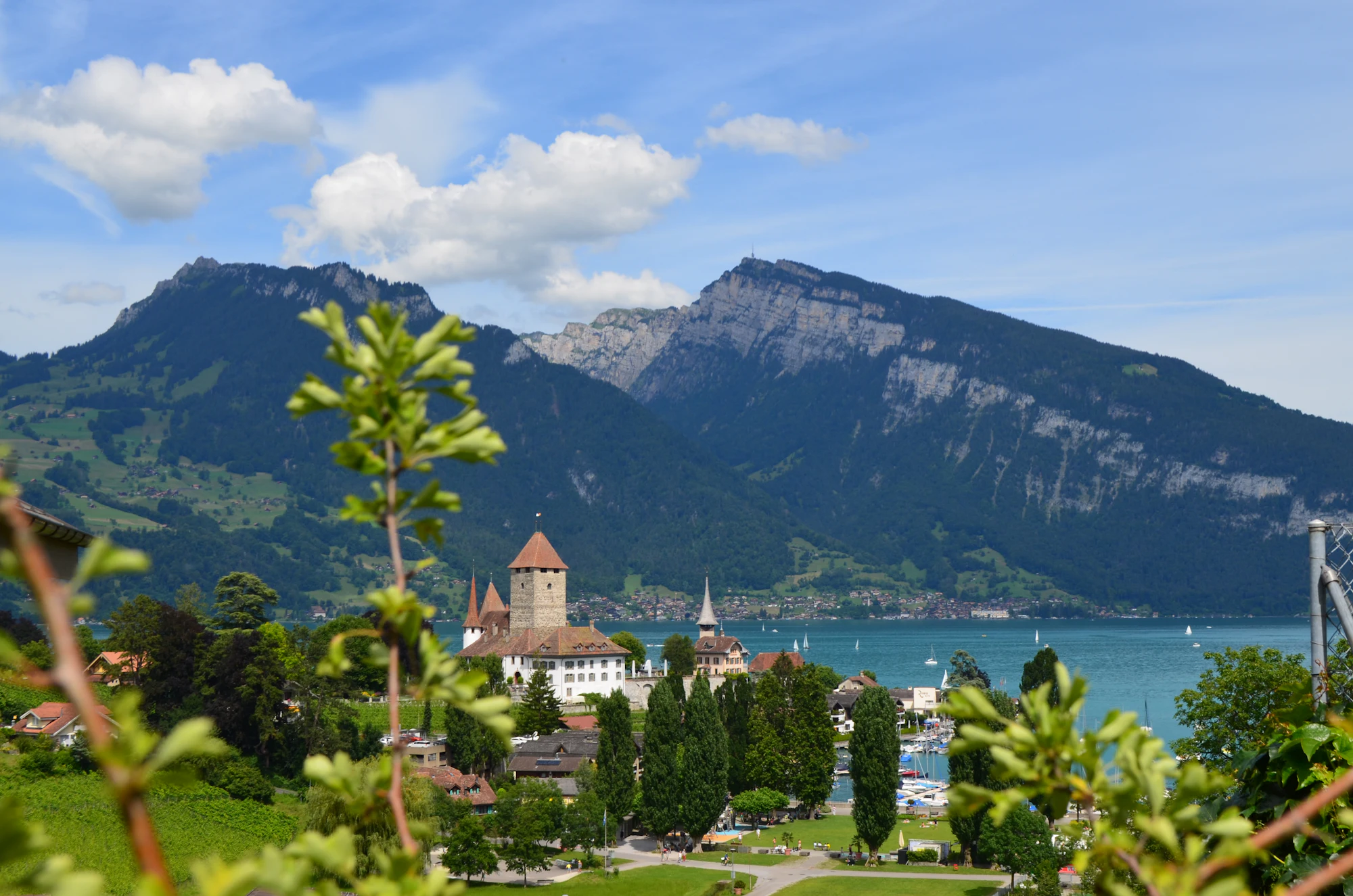 Thunersee und Berge