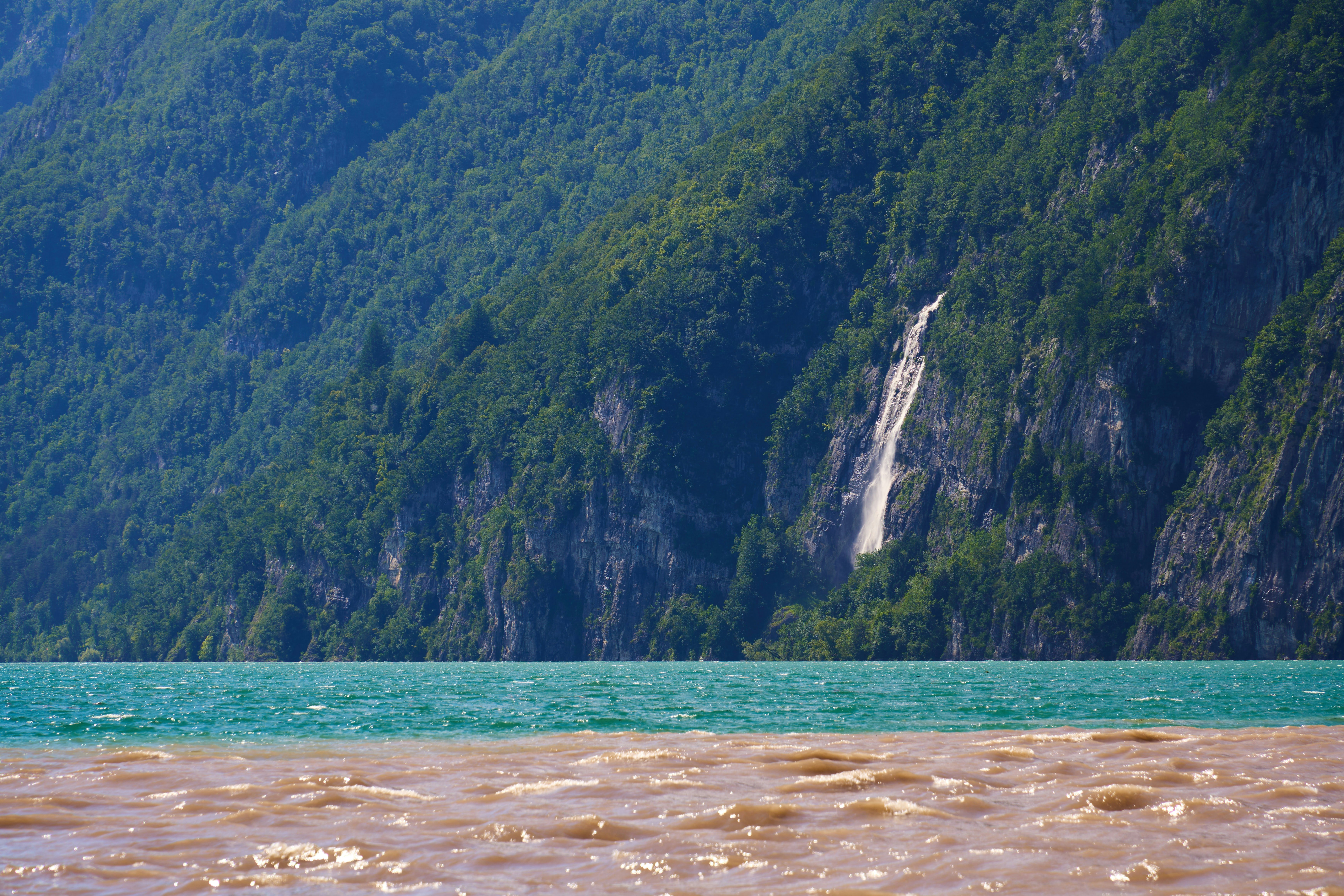 Photo by wolfgang_hasselmann