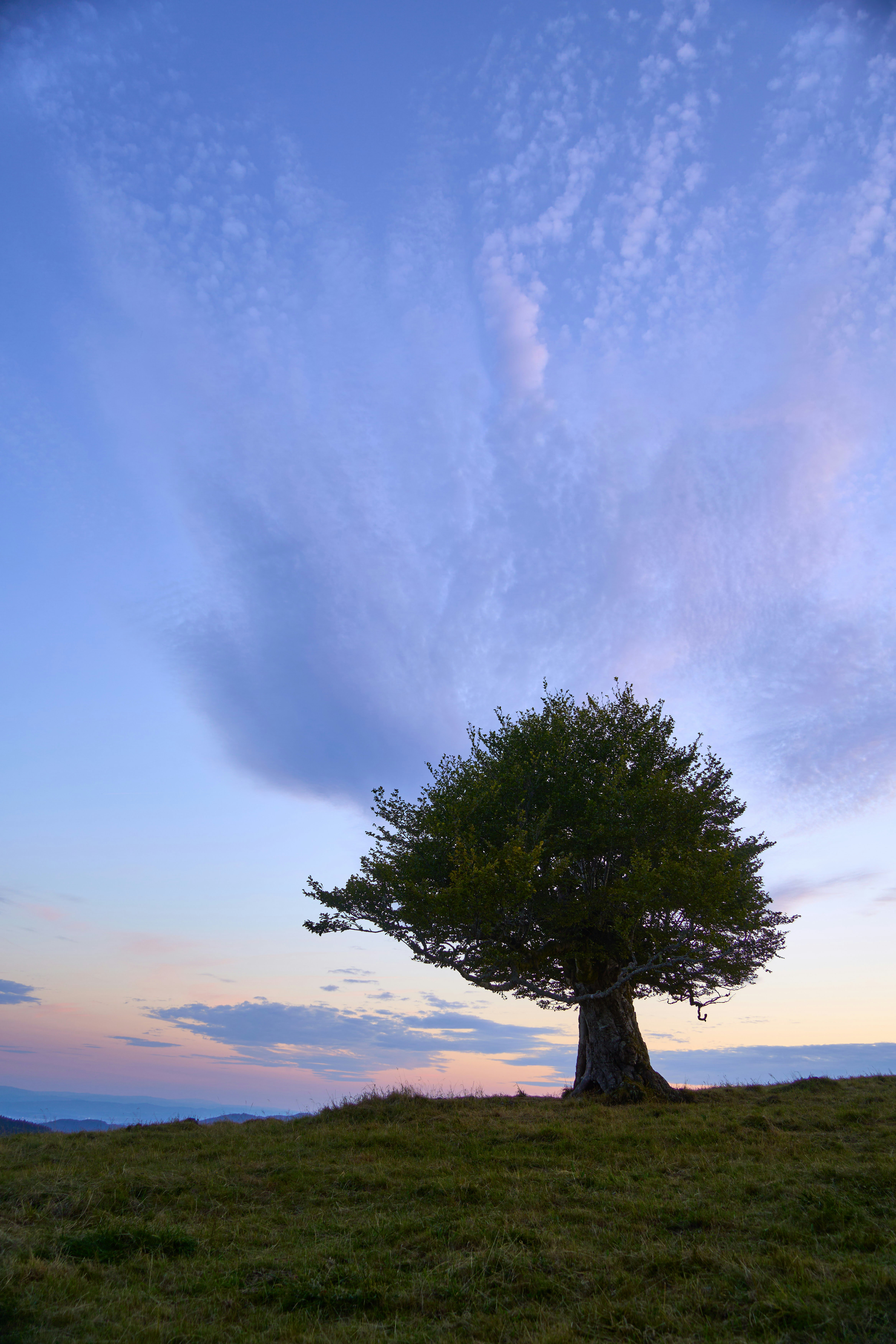 Photo by wolfgang_hasselmann