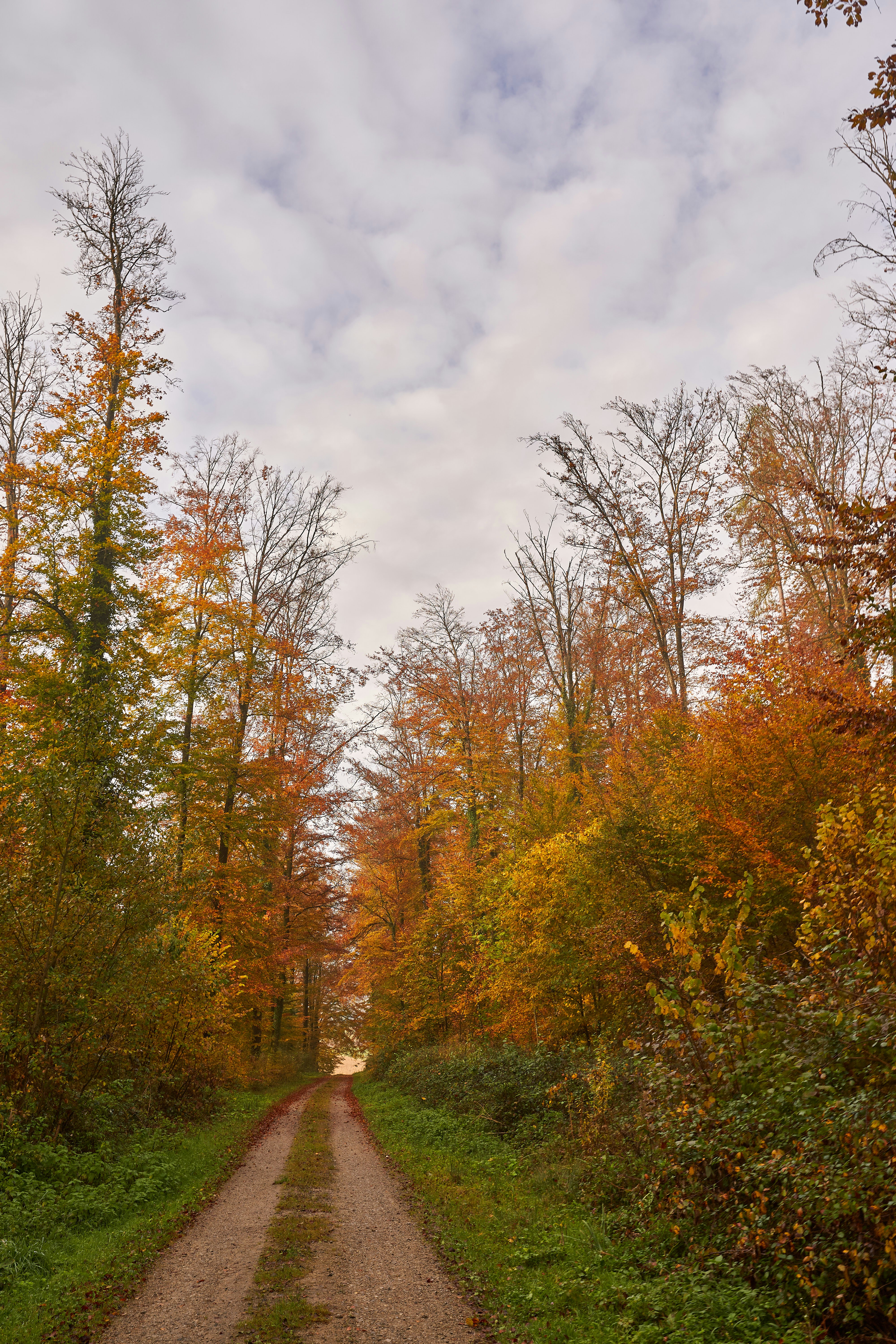 Photo by wolfgang_hasselmann