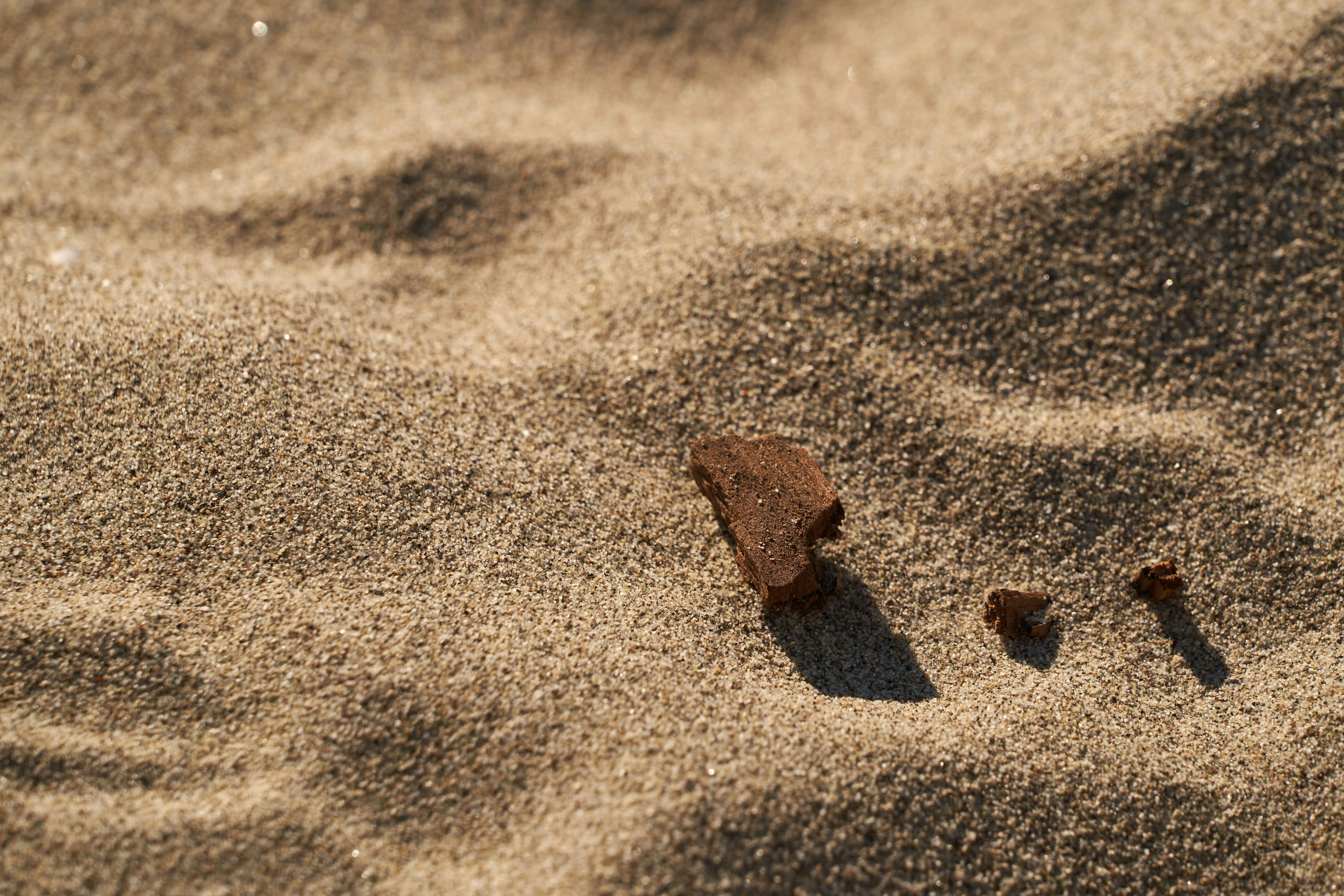 Photo by wolfgang_hasselmann