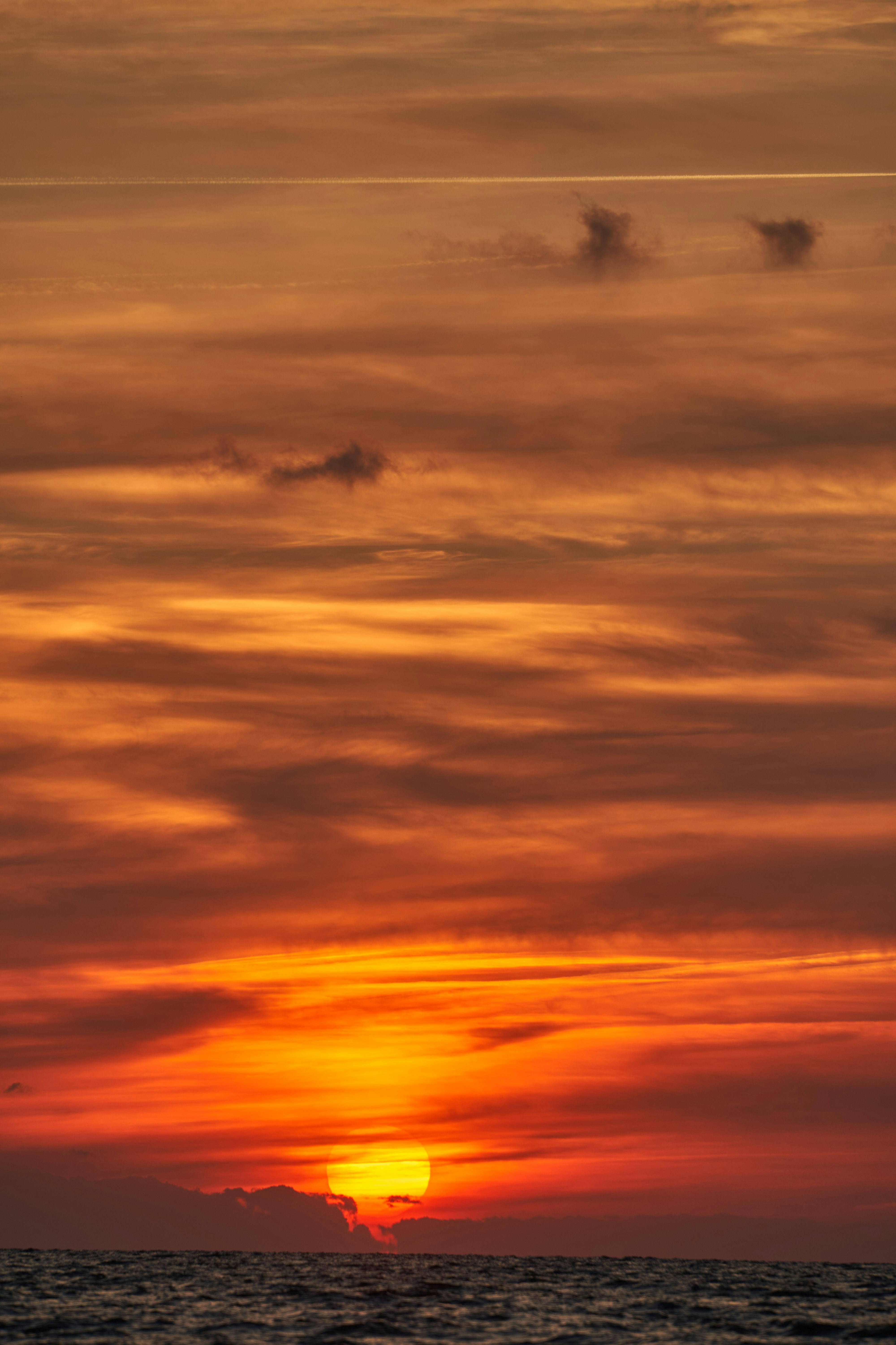 Photo by wolfgang_hasselmann