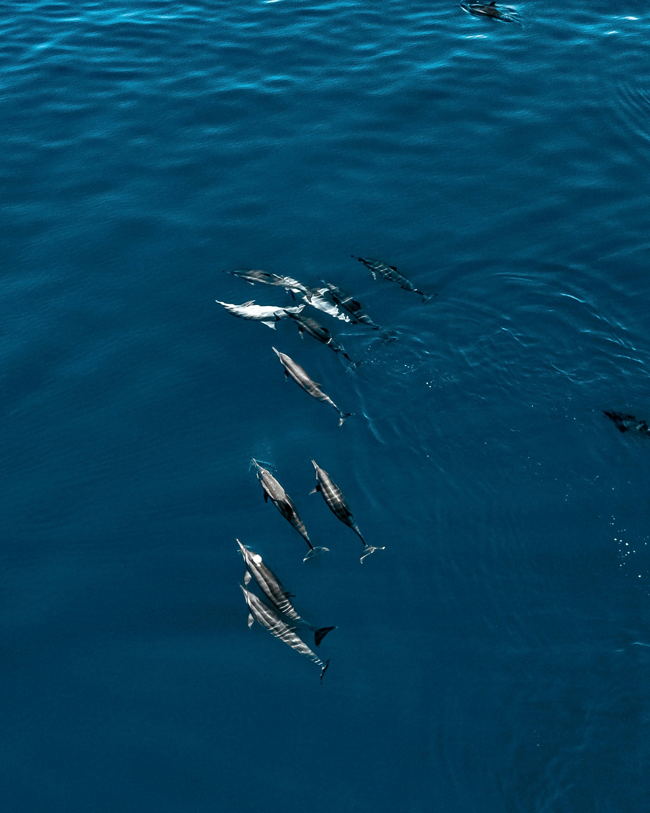 Seasonal Gathering Spots and Migration Patterns (image credits: unsplash)