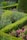 A garden filled with lots of different types of flowers