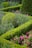 A garden filled with lots of different types of flowers