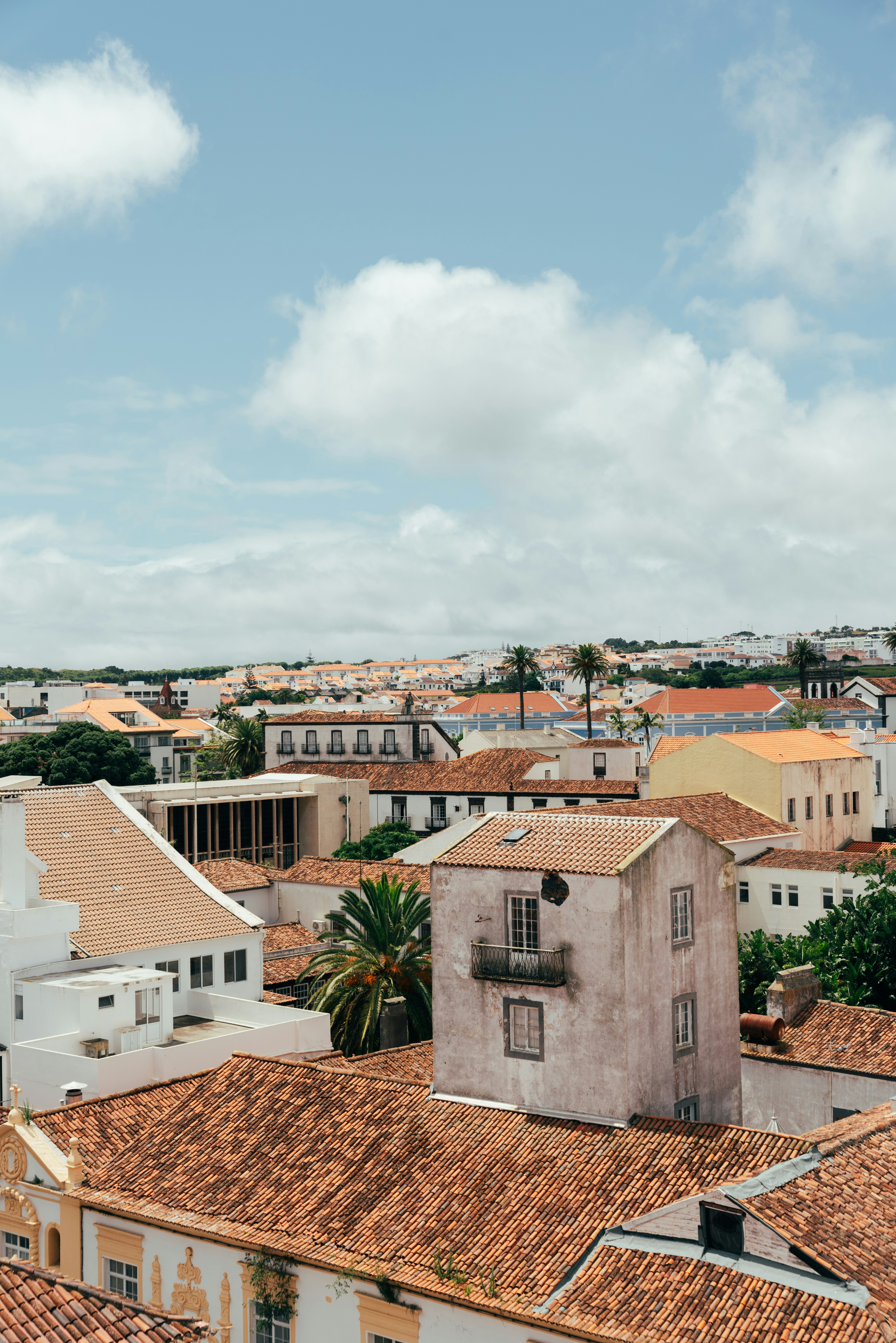 Photo by nellie_adamyan