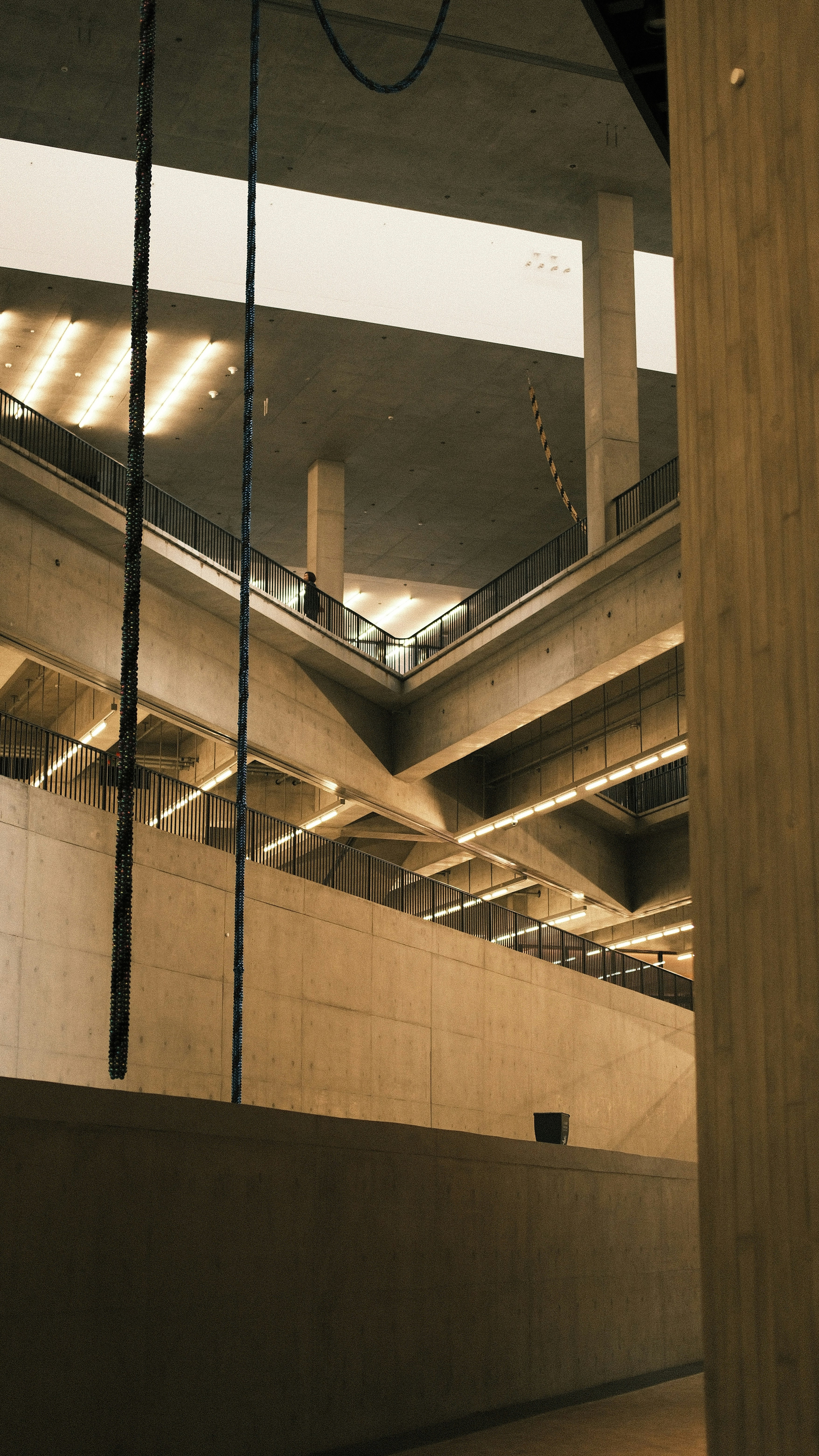 Boost Your Thinking Skills with Combined Therapy for MS