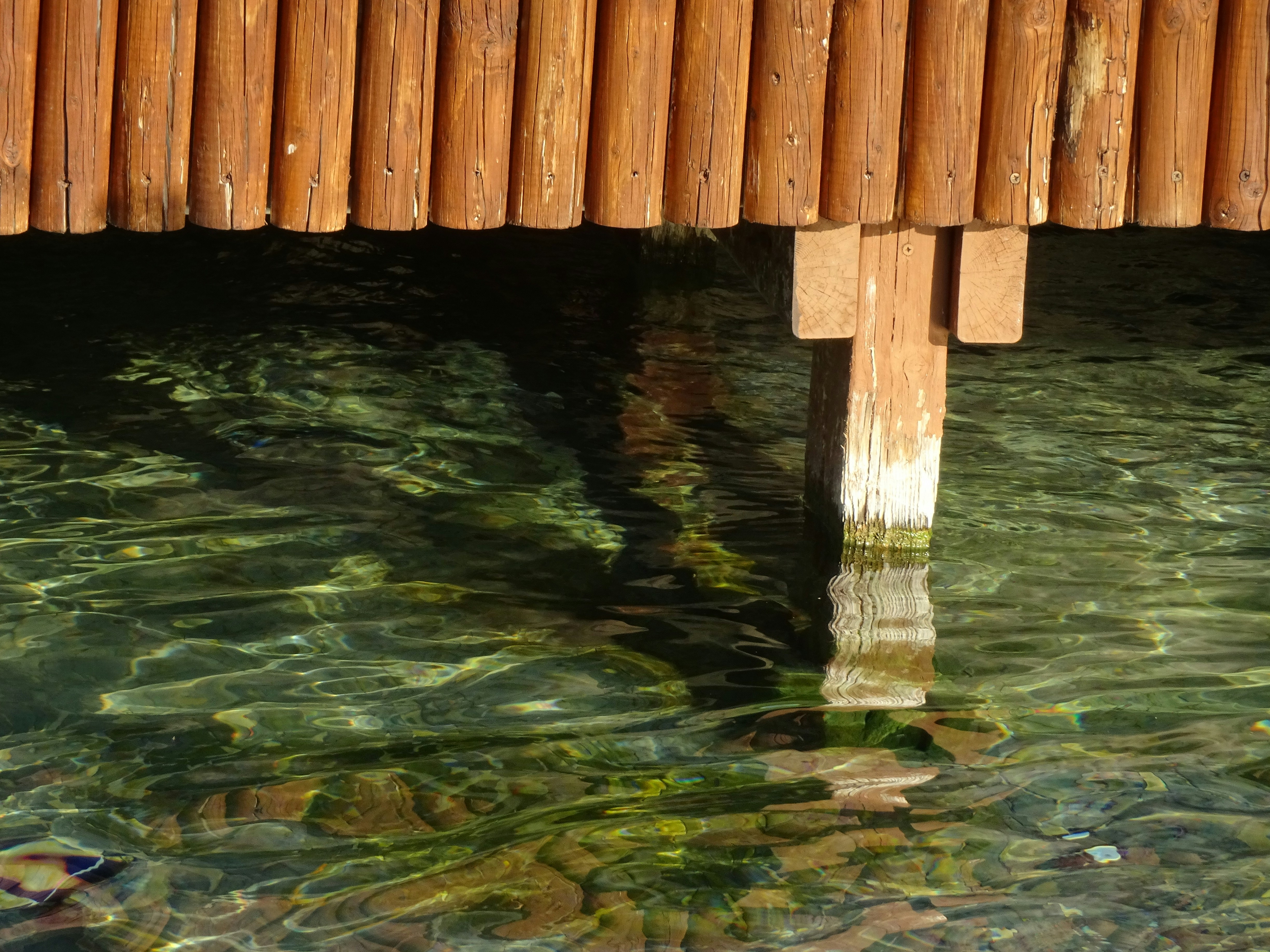 A wooden bridge over a body of water, Contemplando las olas del agua en un estanque.