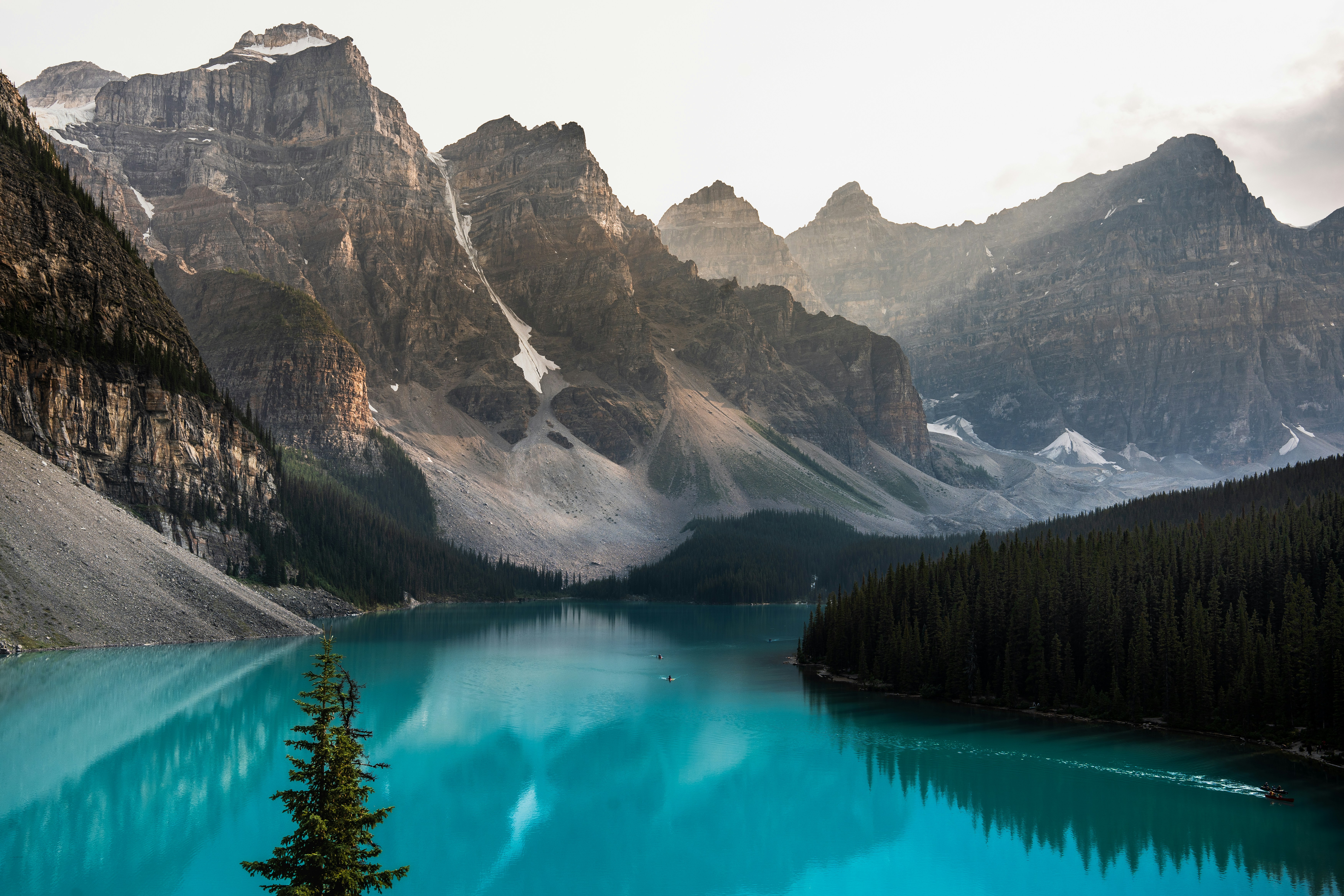 Featured image of post claude-code-telegram