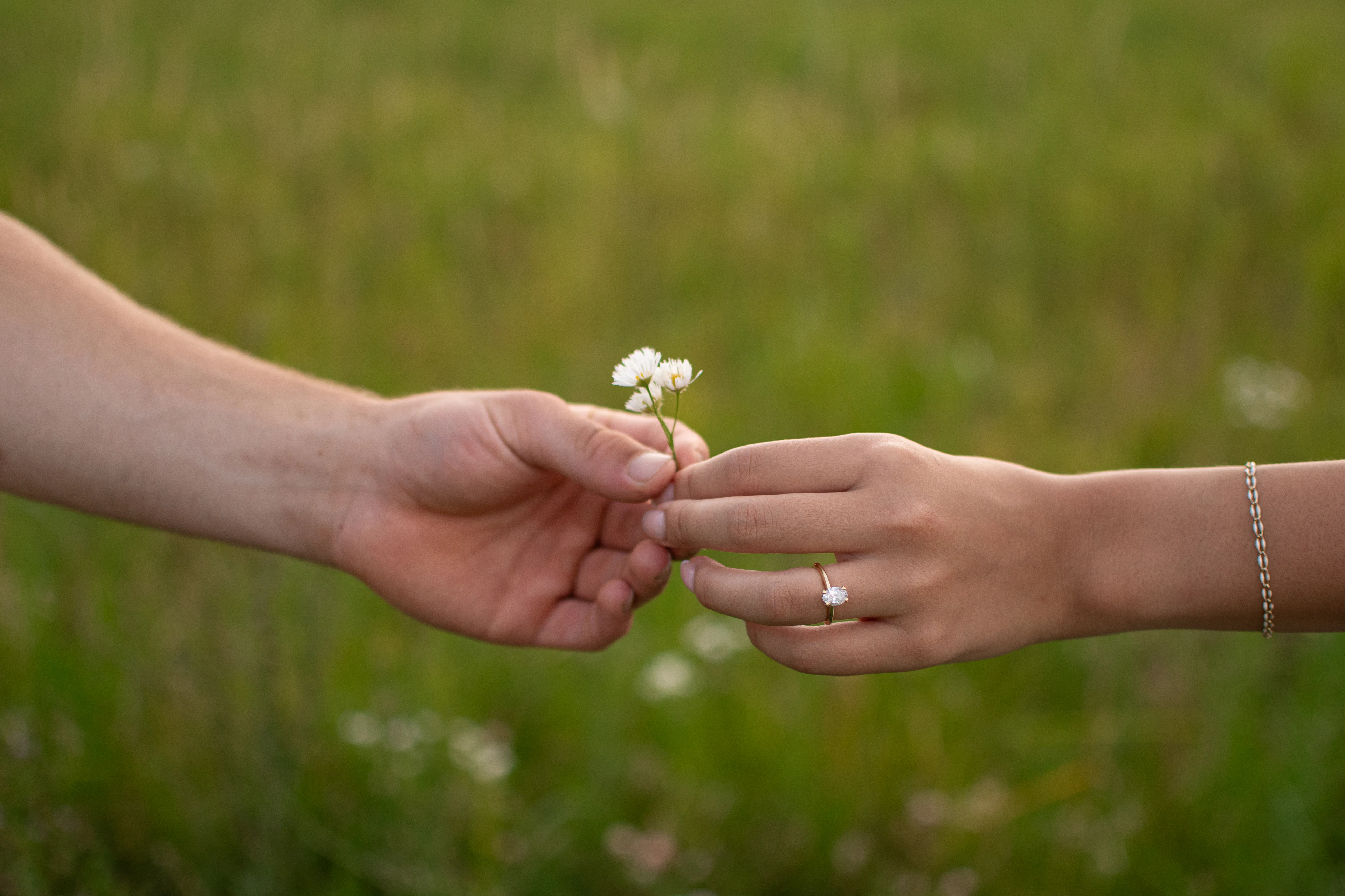 Deux mains se passent une minuscule pâquerette au-dessus de l’herbe, une bague au doigt