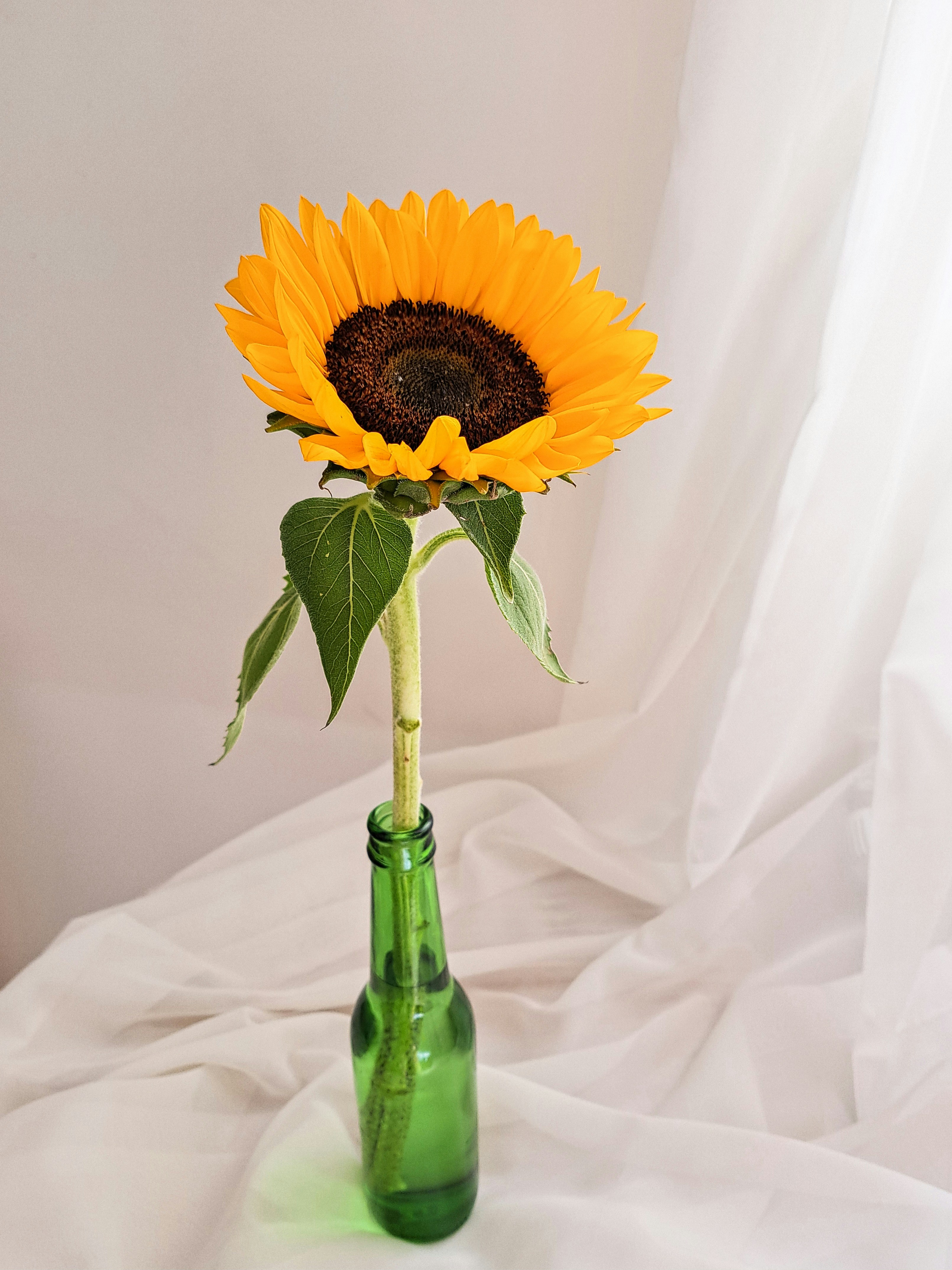 Photo by photo_setayesh