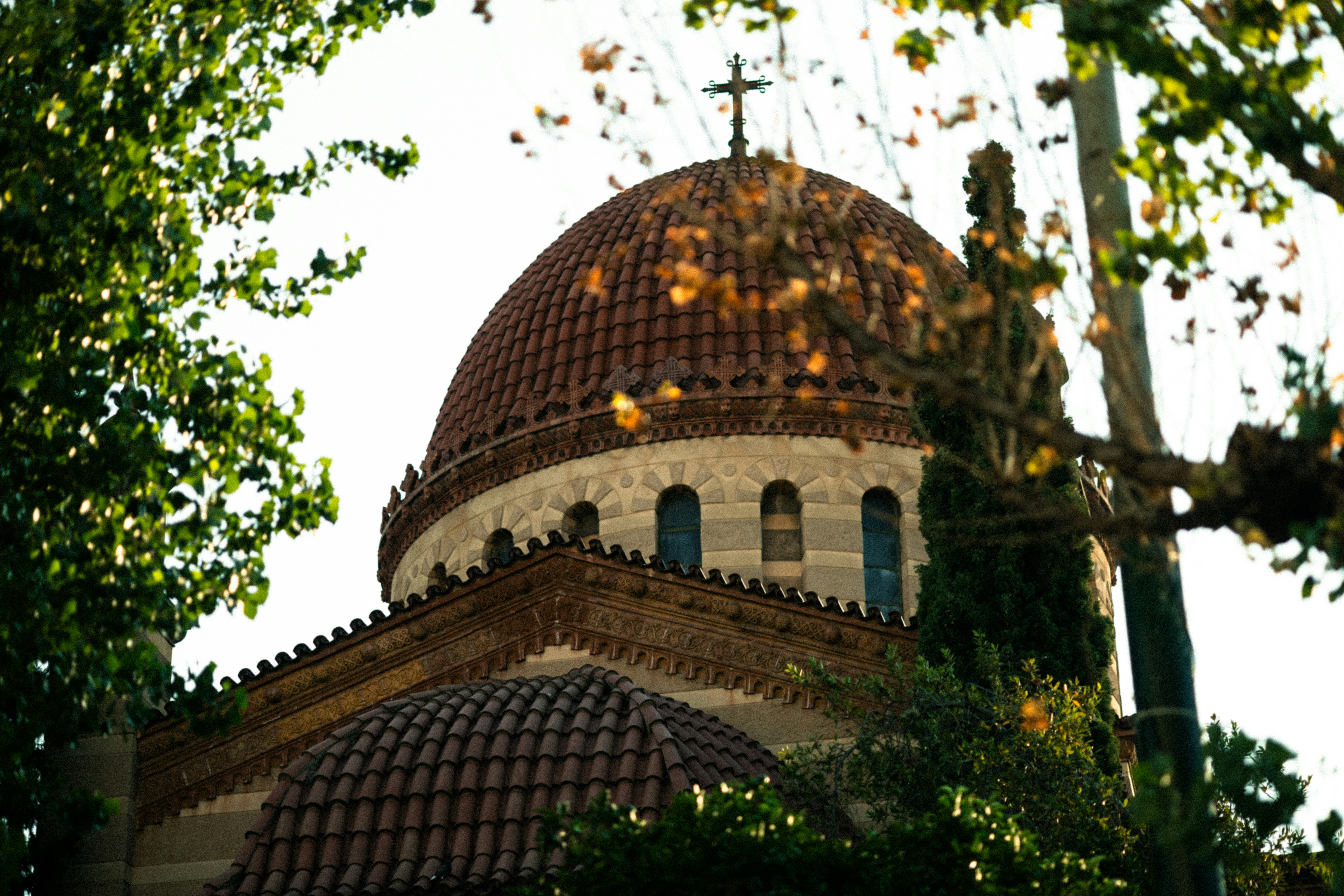 Photo by orian_lev_ari1