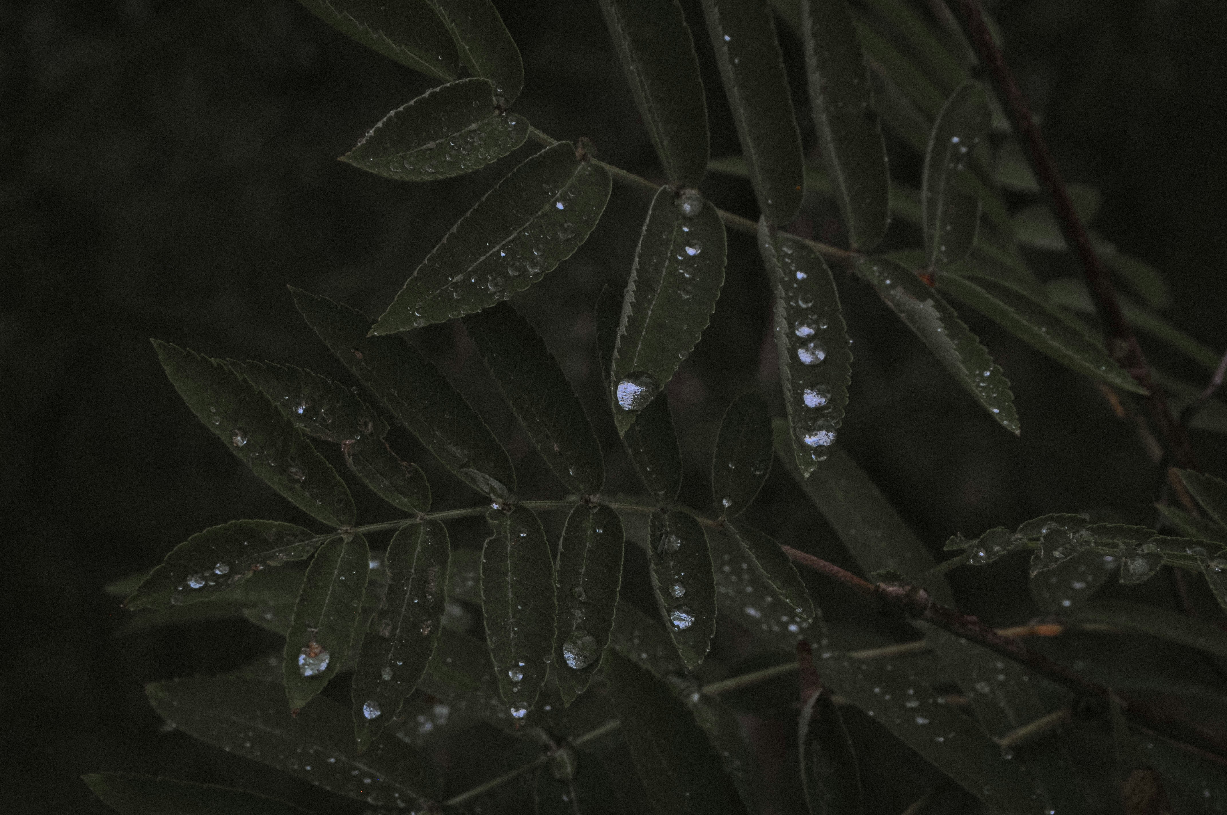 Photo by elenasizontseva