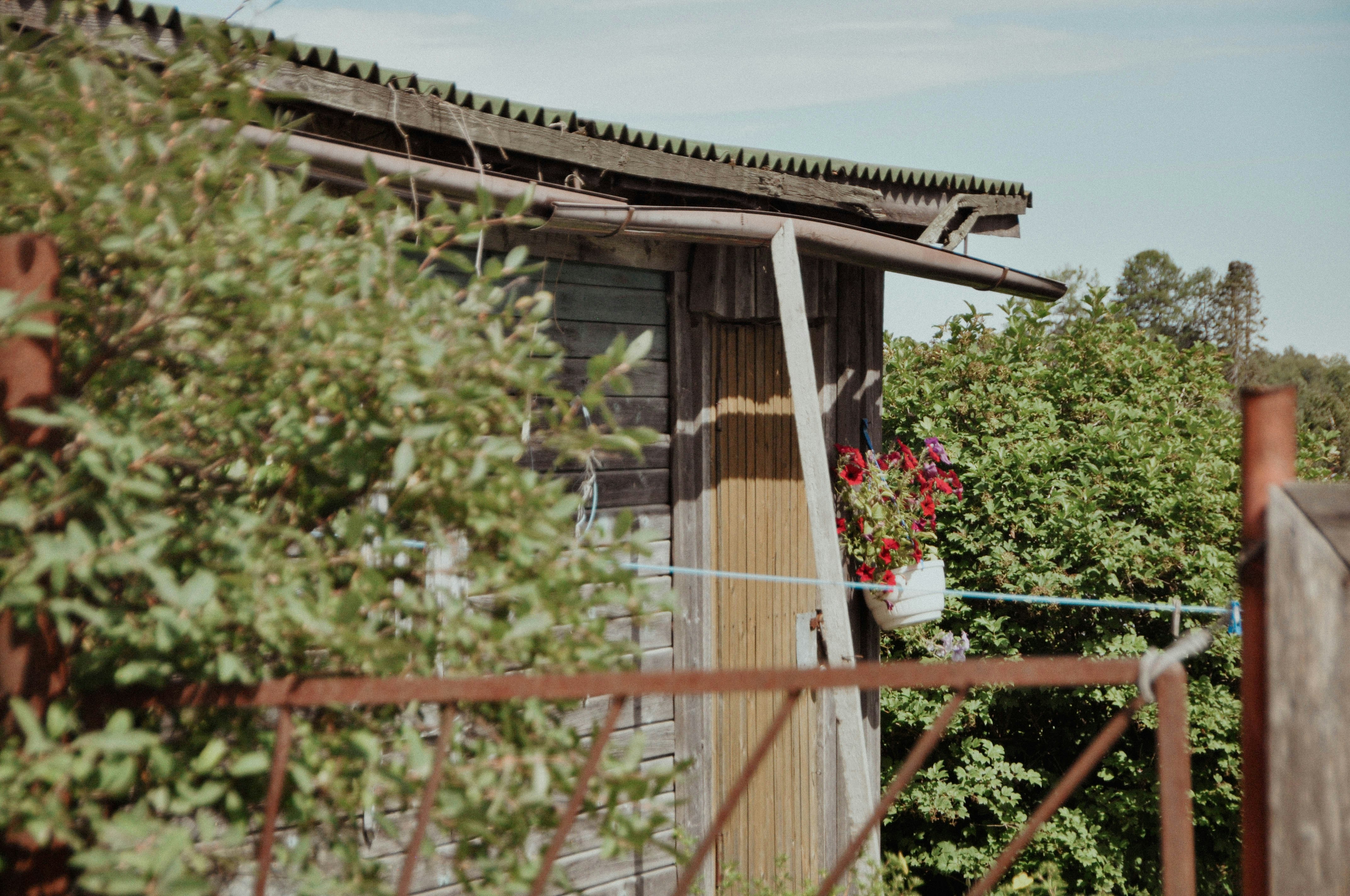 Photo by elenasizontseva