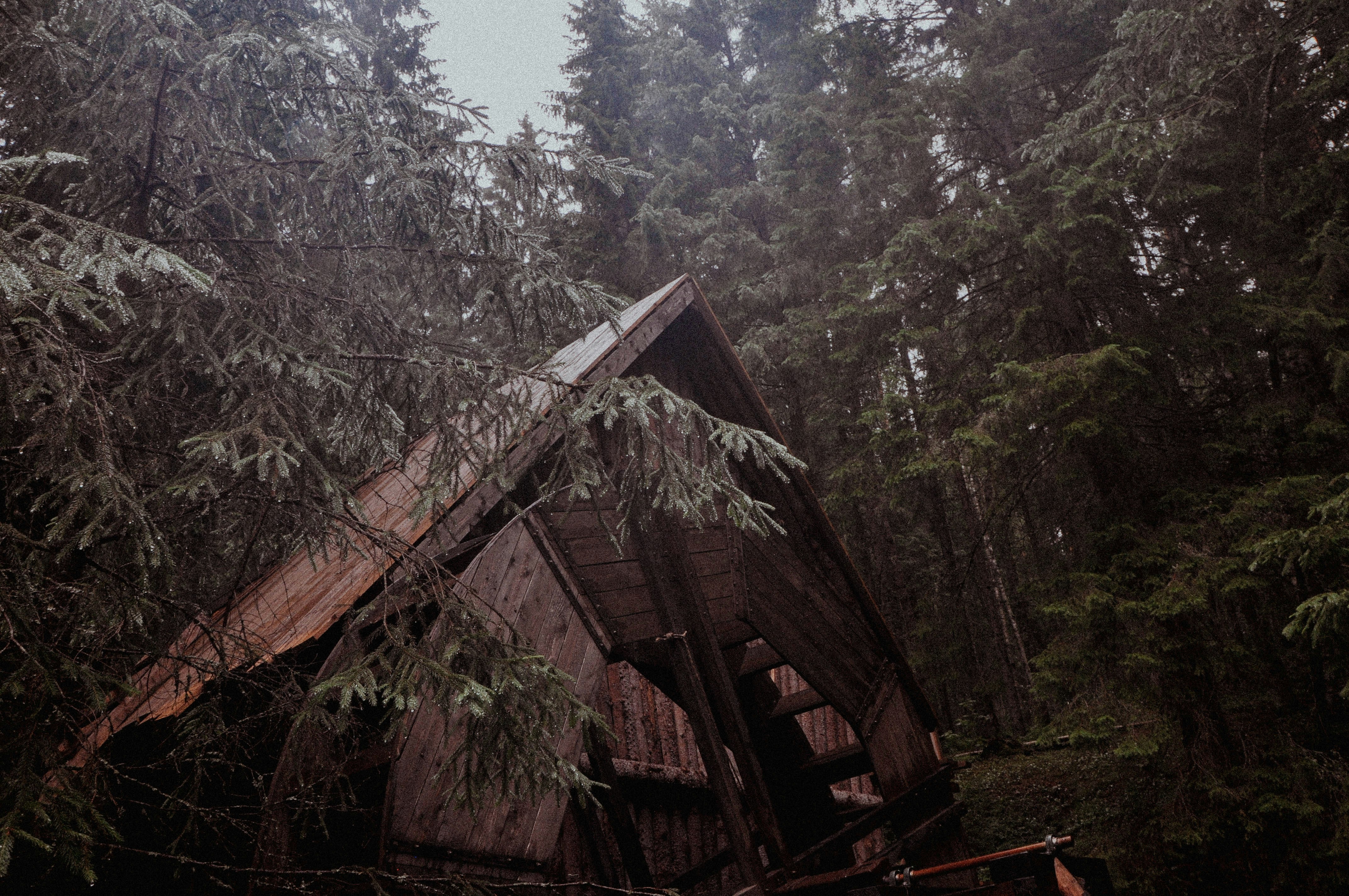 Photo by elenasizontseva