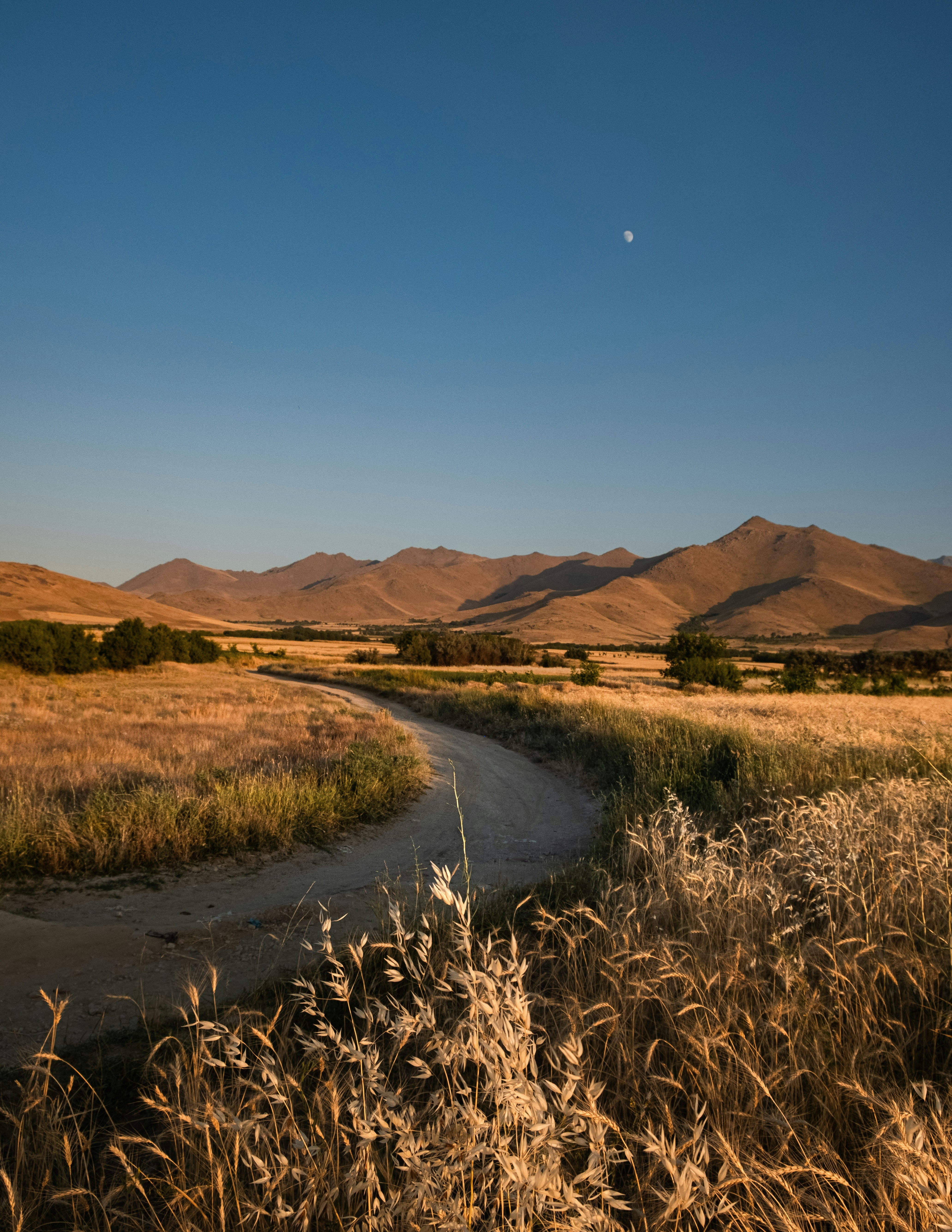A wide open field with mountains in the background