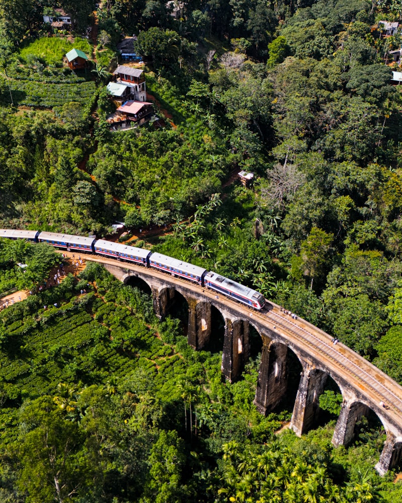 Scenic train crossing a viaduct bridge through tropical rainforest
