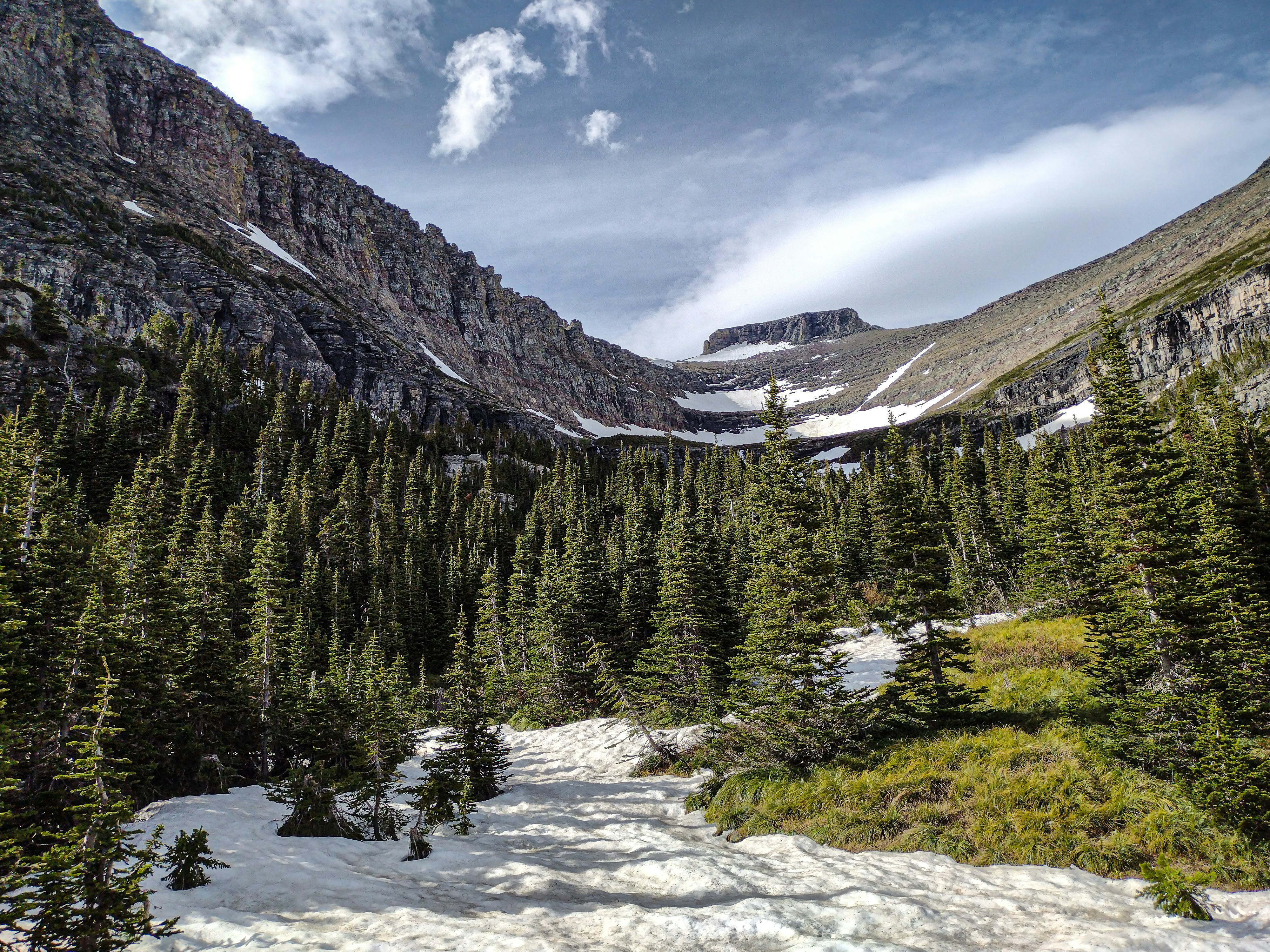 머리숱 고민 종결! 탈모 원인 분석부터 유형별 SOS 솔루션까지!