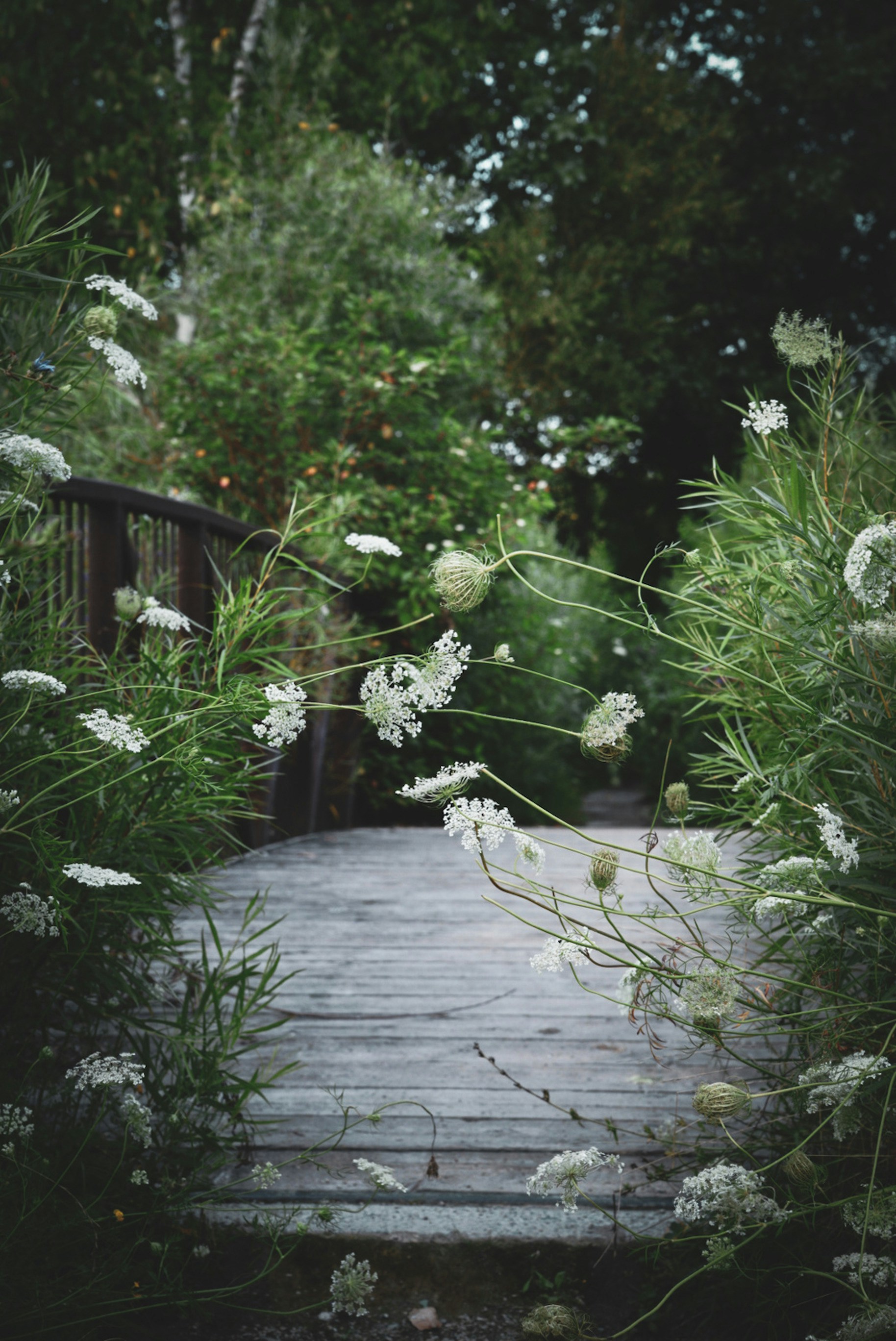 Photo by meri_vasilevski