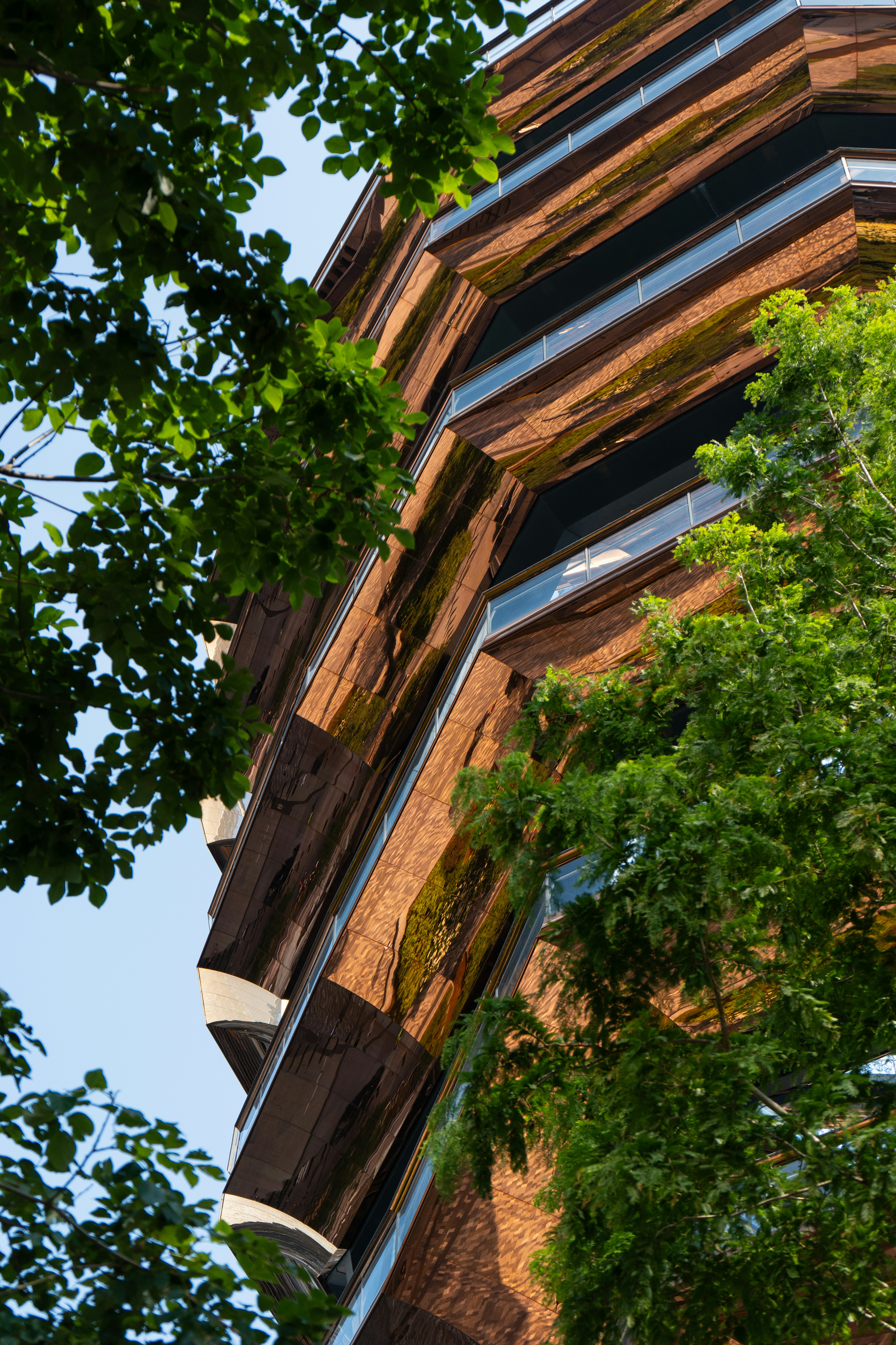 Photo by maneyimagination