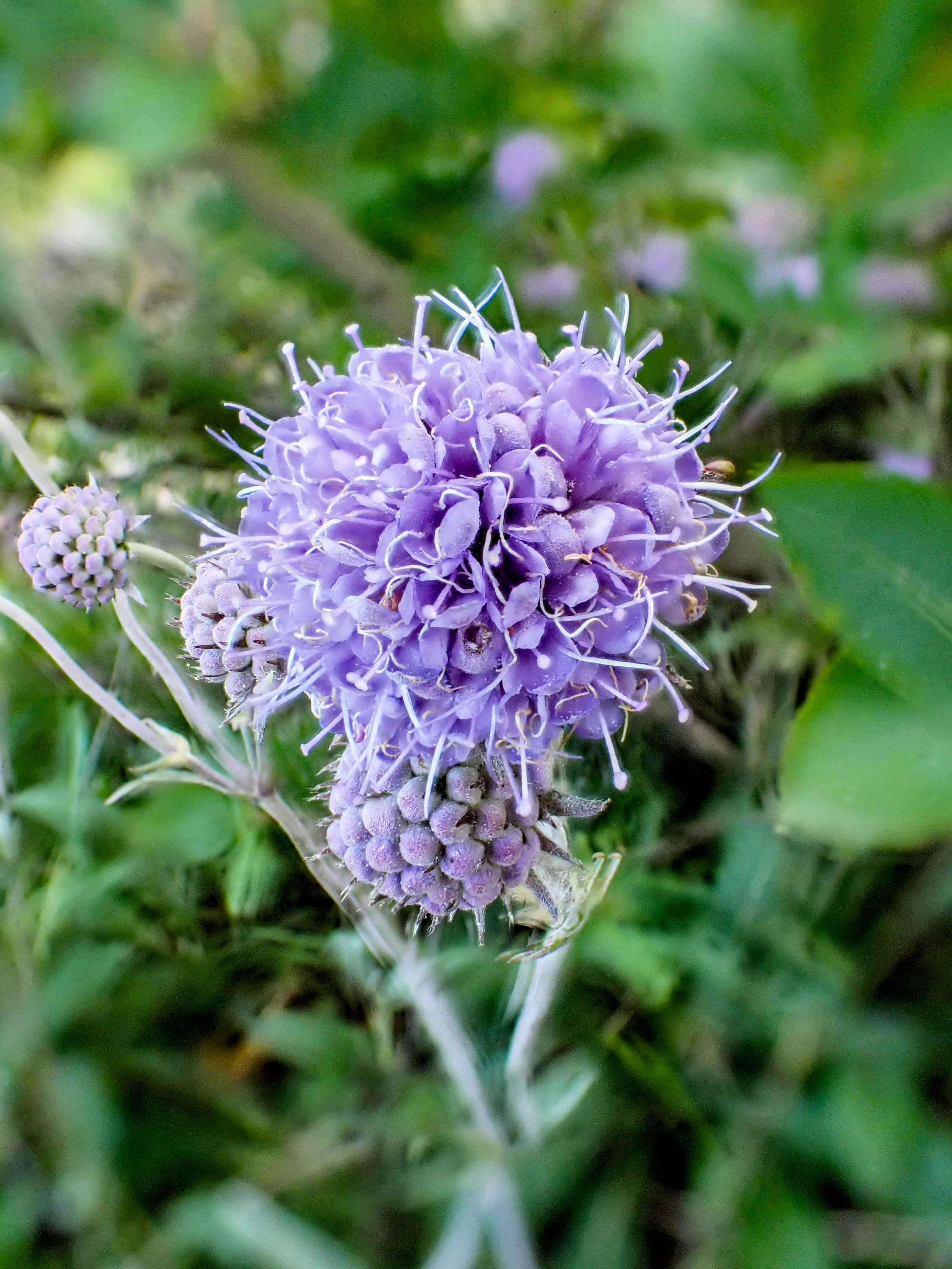 Photo by schneiderhenry