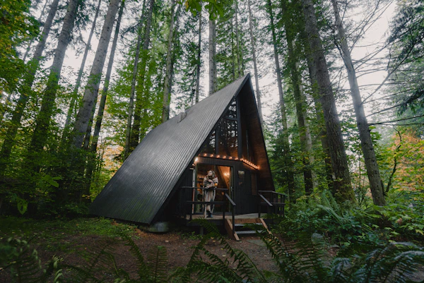 A small cabin in the middle of a forest