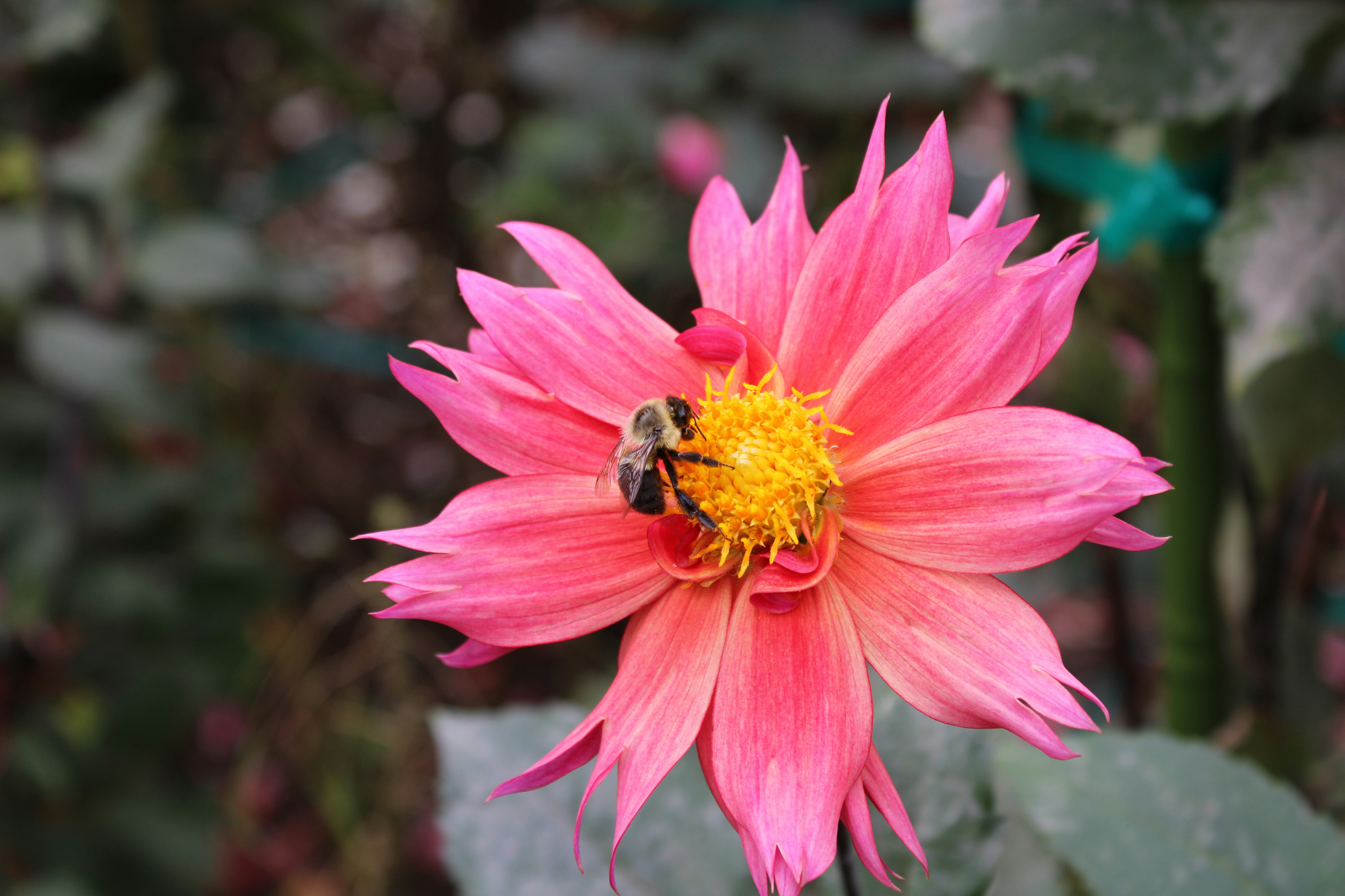 Photo by am_photography13